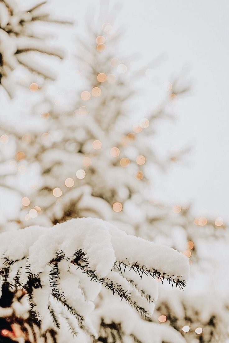 Aesthetic Winter Wonderland Wallpapers Wallpaper Cave