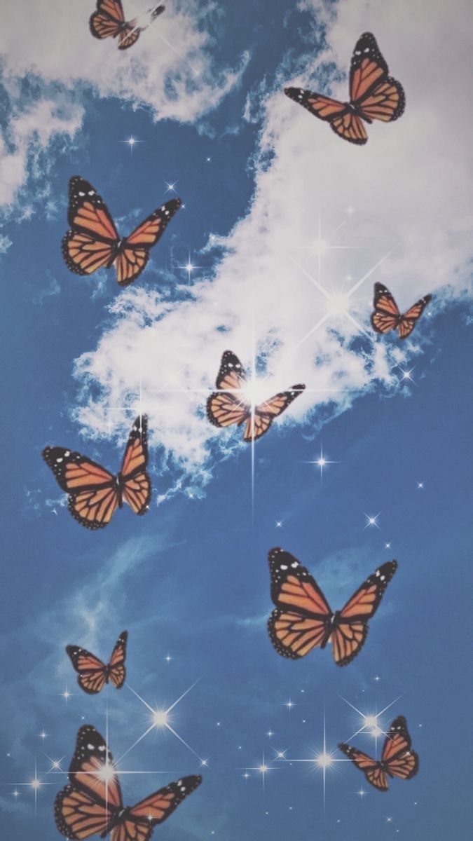 Cute Aesthetic Butterfly Wallpapers Wallpaper Cave