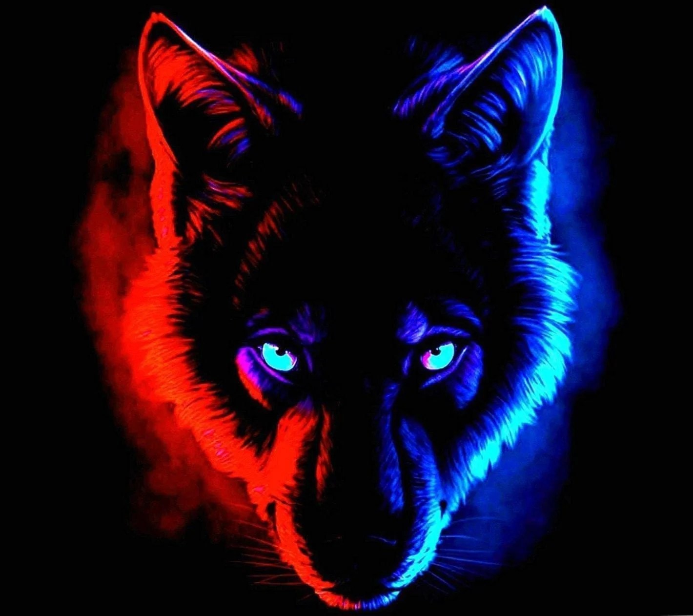 Cool Red Wolf Wallpapers Wallpaper Cave