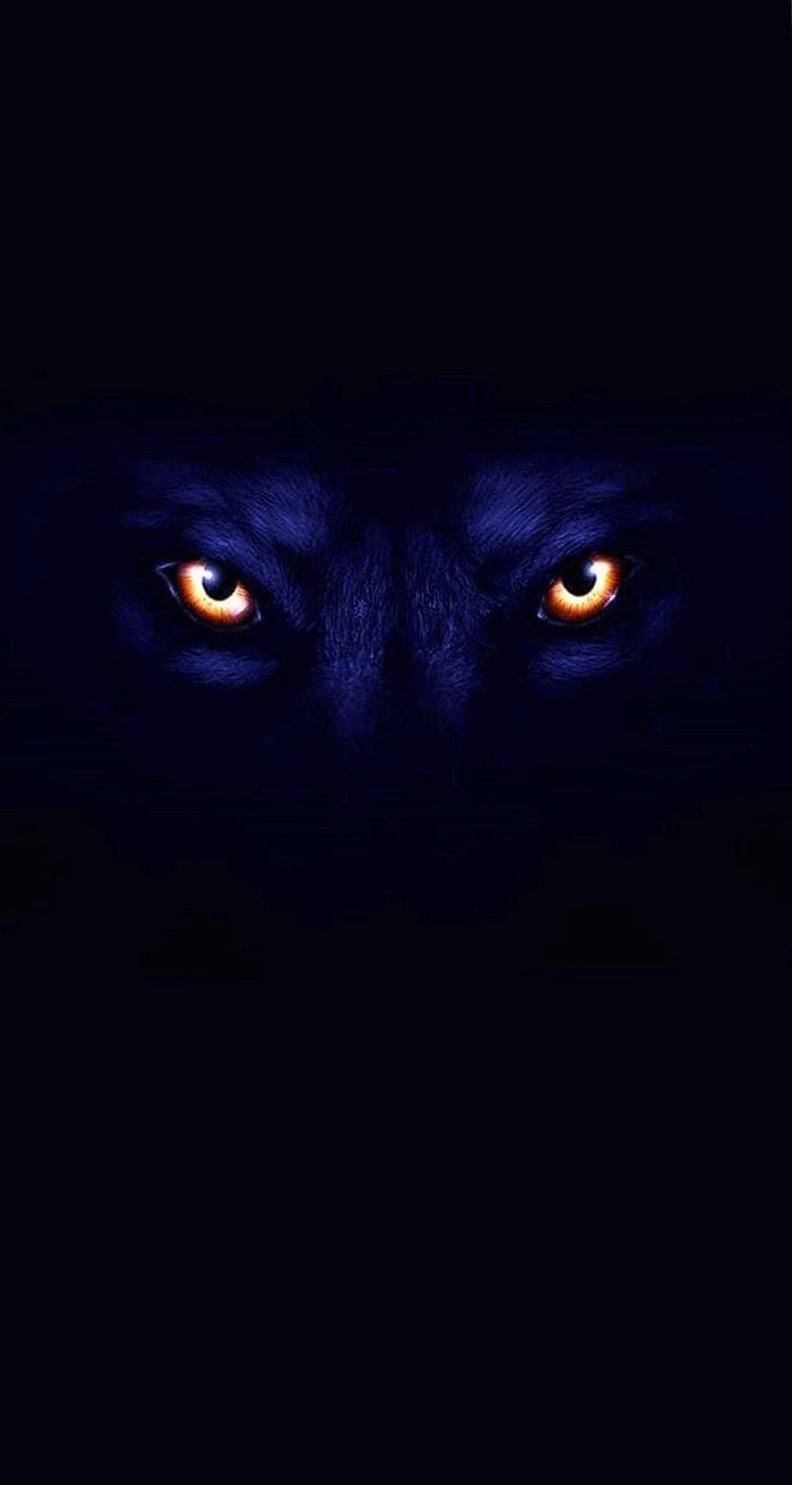 Blue And Red Wolf Wallpapers Wallpaper Cave