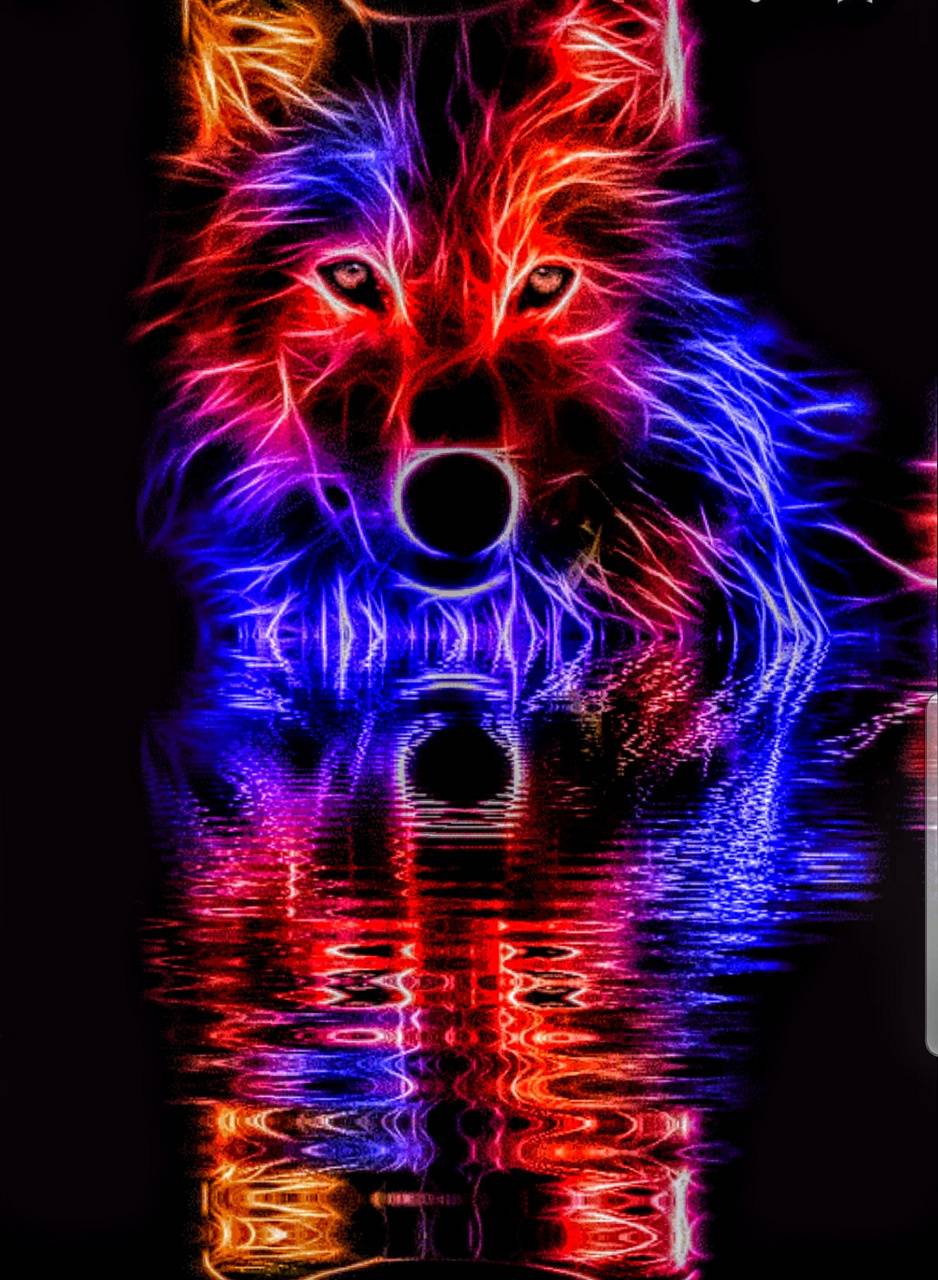 Blue And Red Wolf Wallpapers Wallpaper Cave