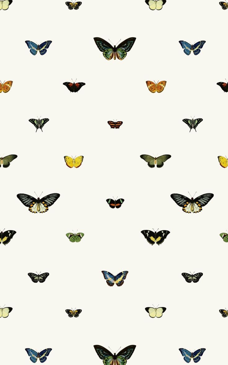 Wes Anderson Phone Wallpapers Wallpaper Cave