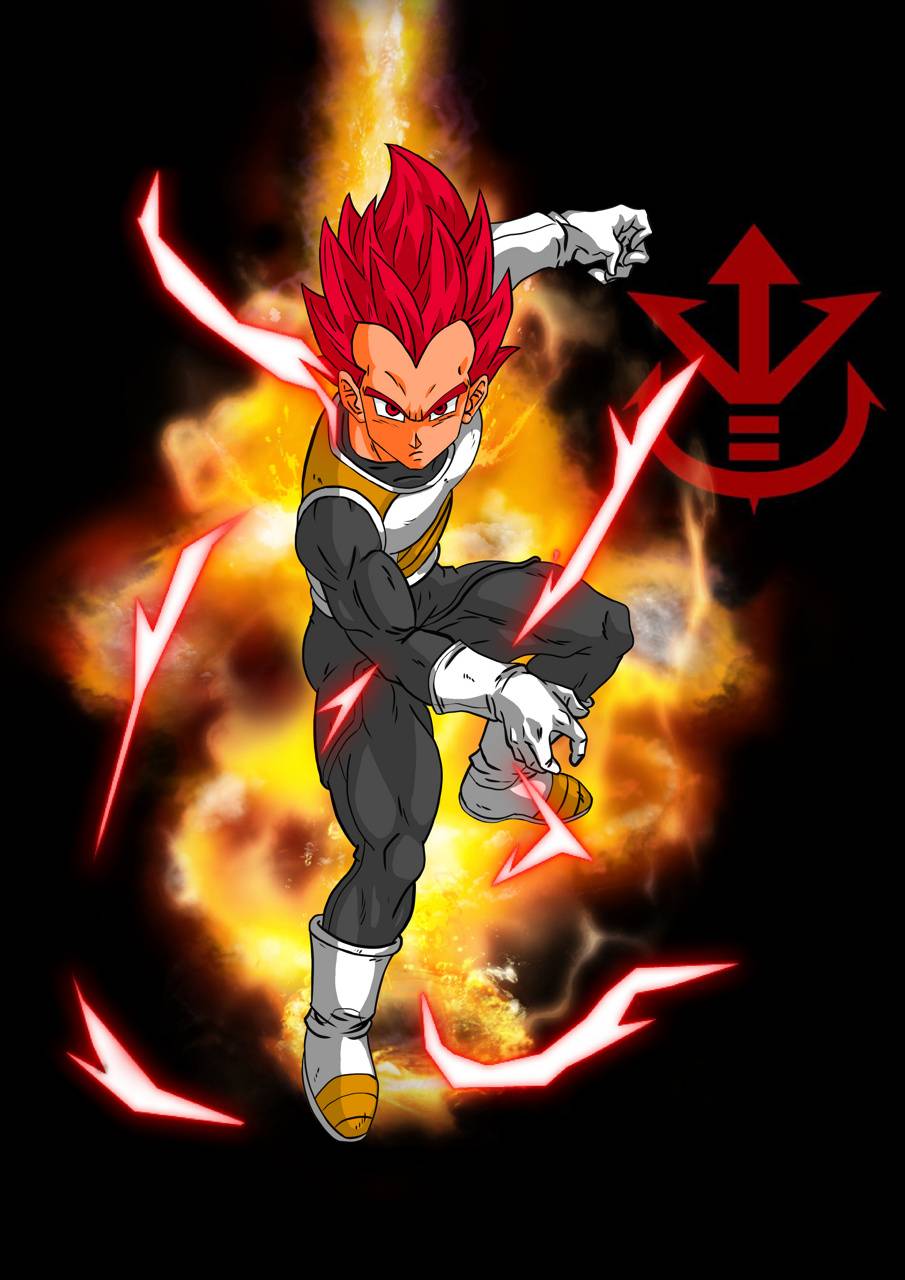 Vegeta SSG Wallpapers Wallpaper Cave