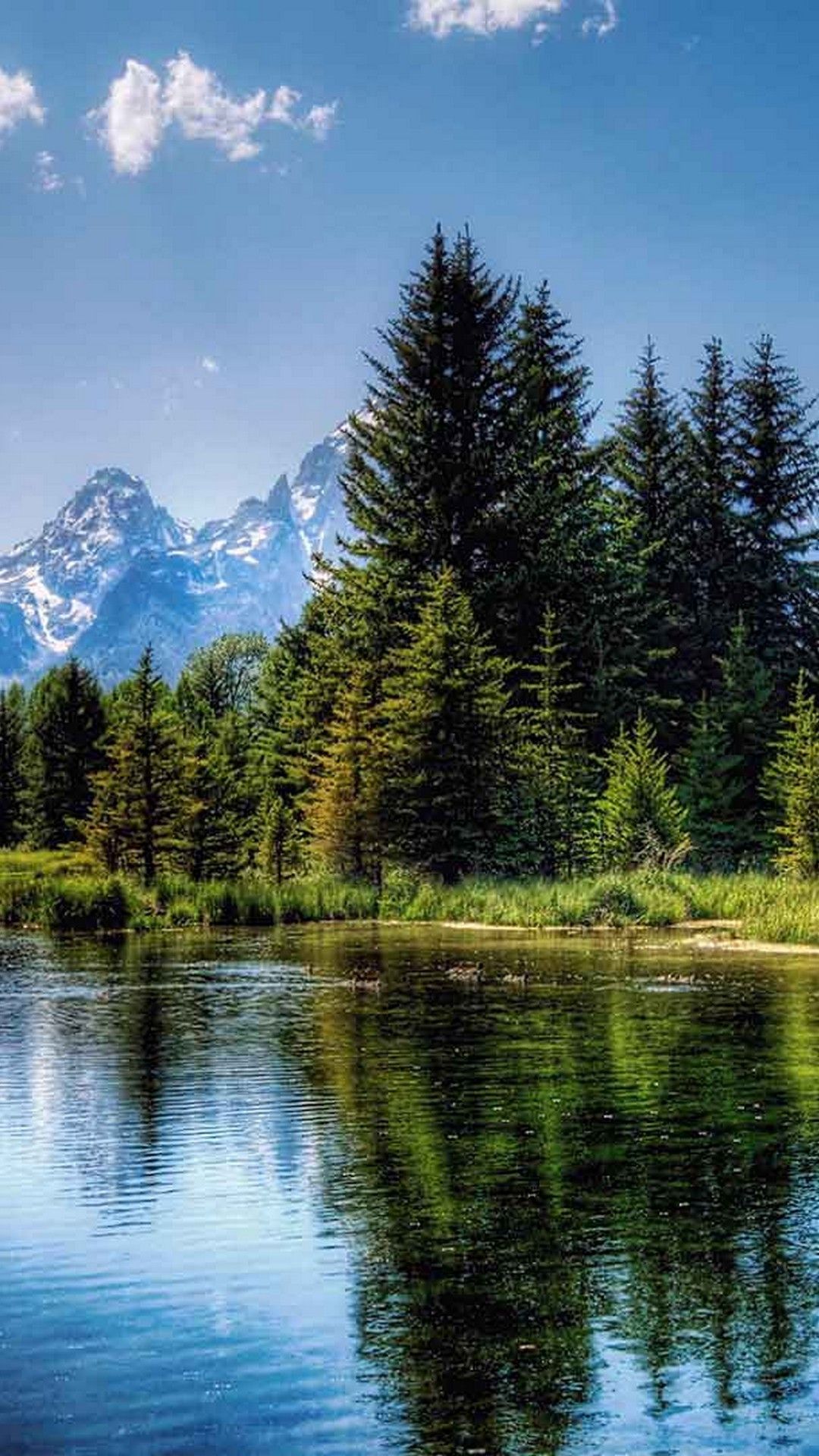 Nature