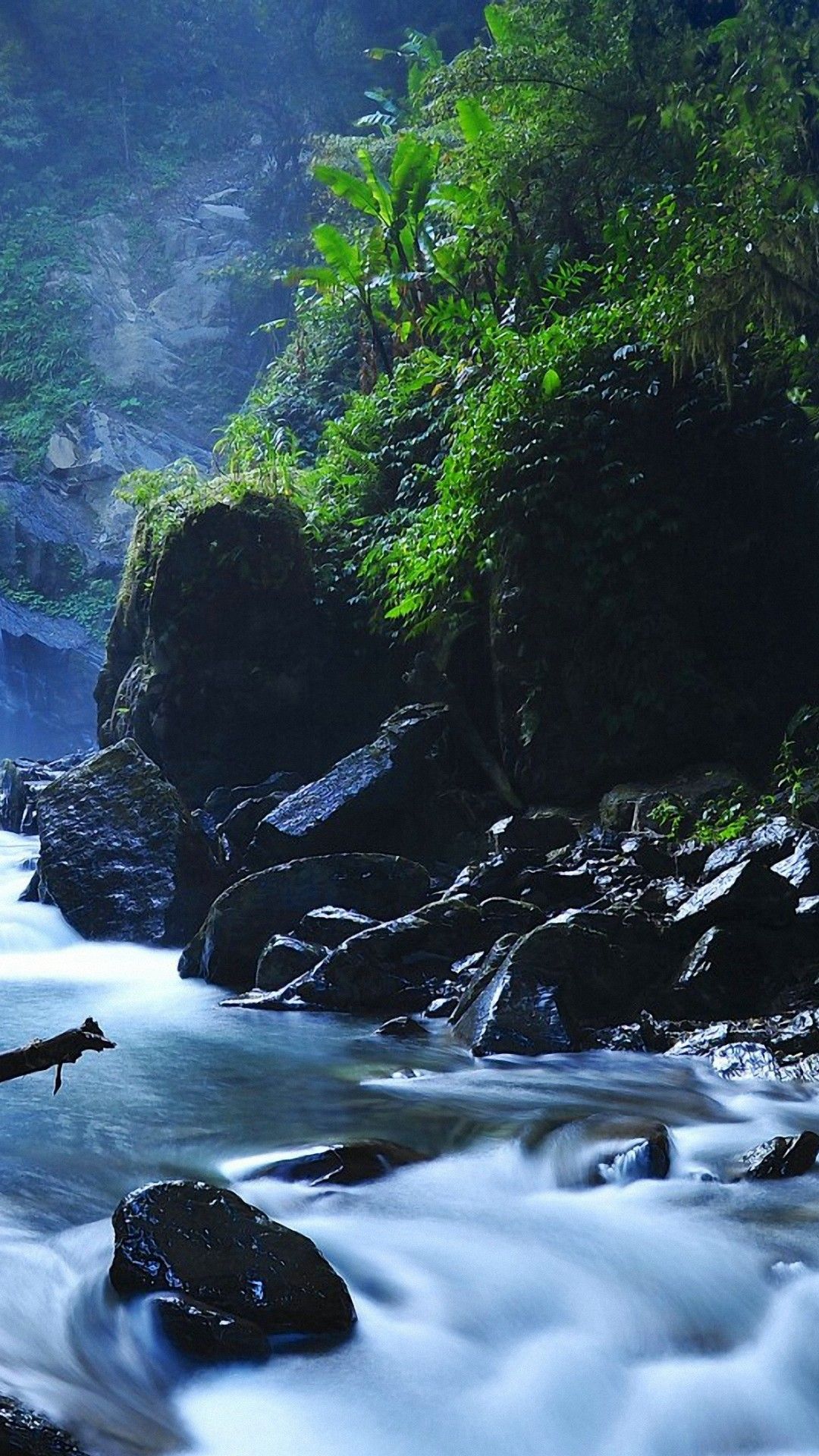 Nature 2021 Wallpapers Wallpaper Cave
