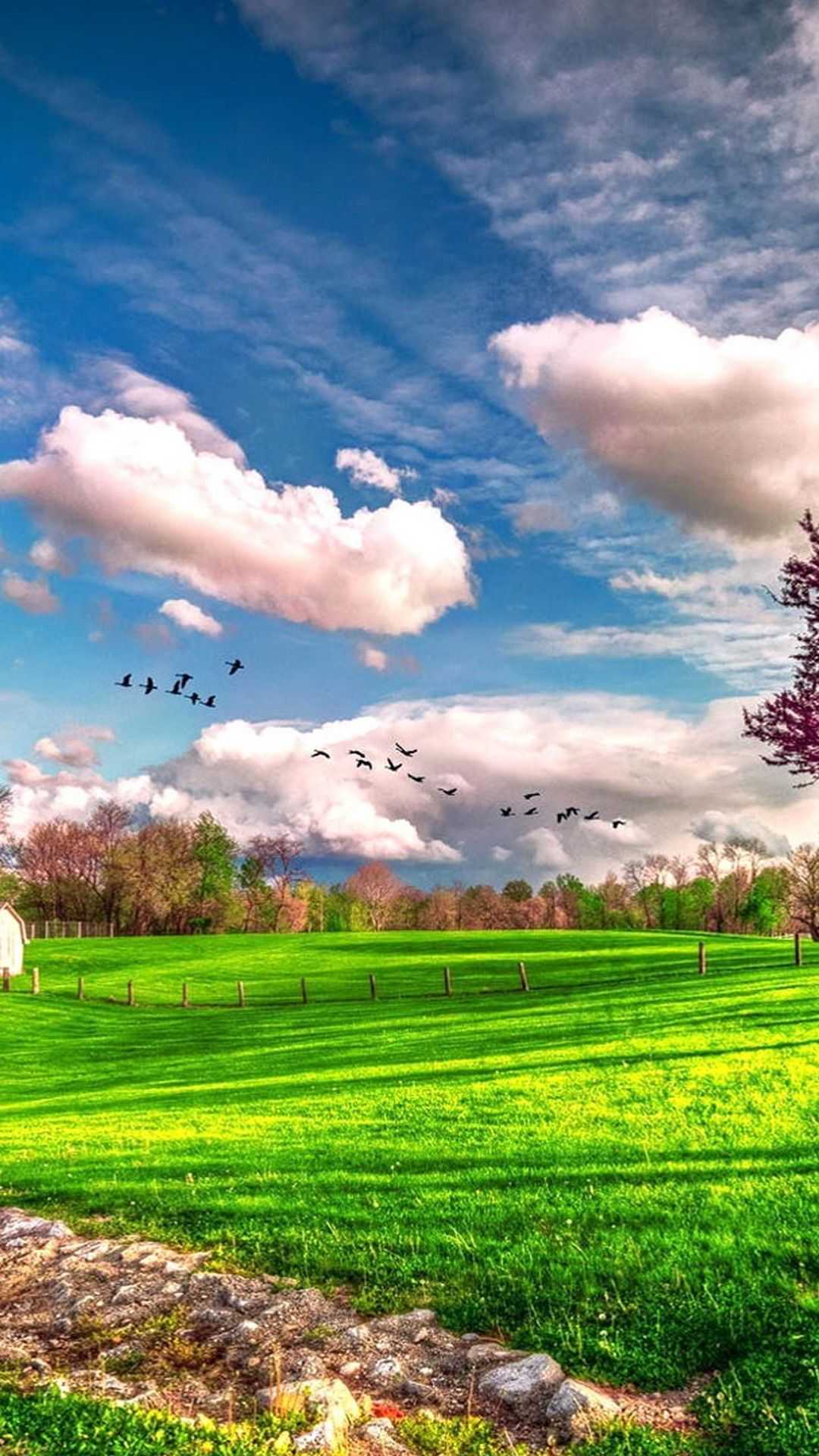 Nature 2021 Wallpapers Wallpaper Cave