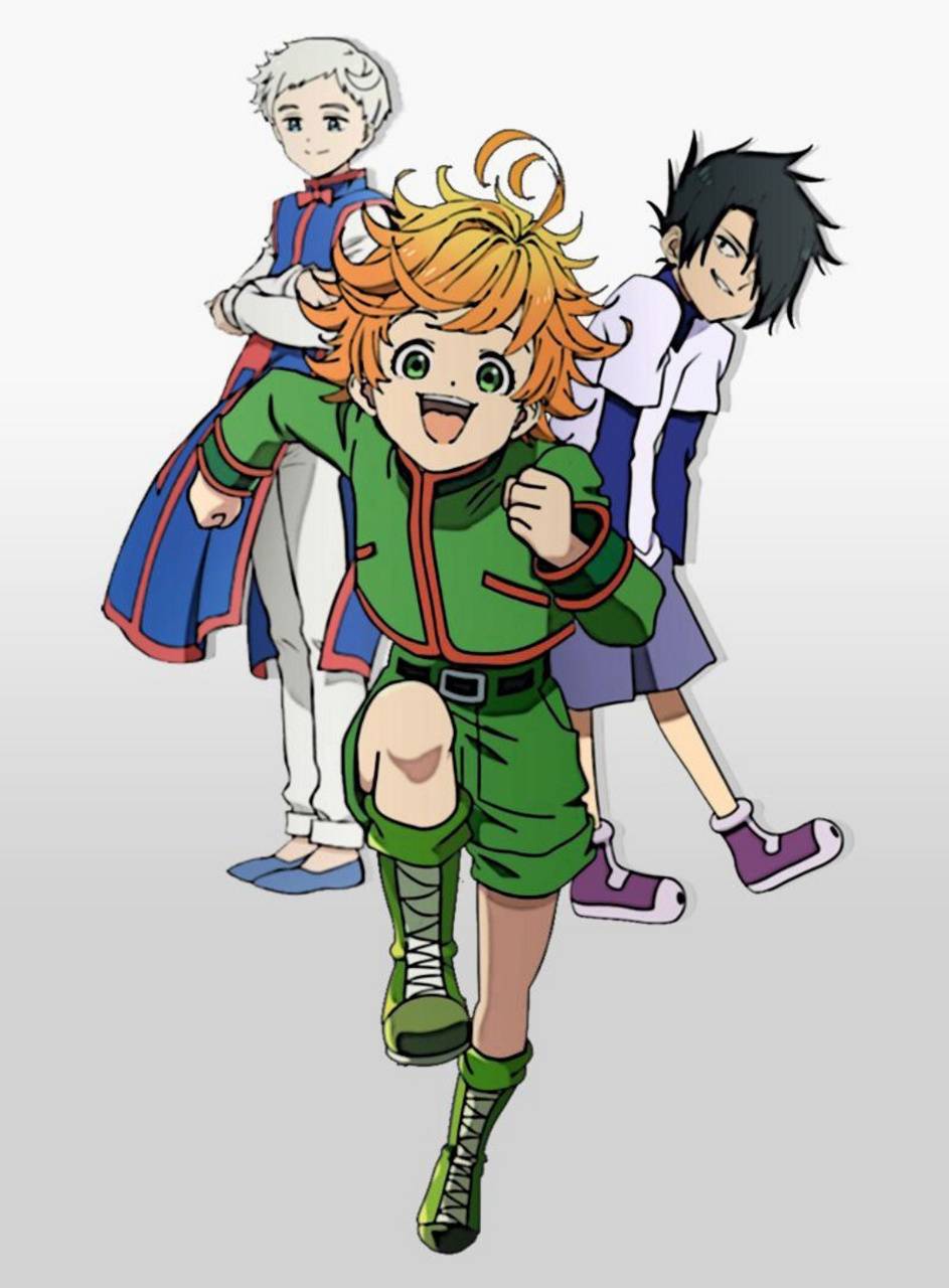 Ray TPN Wallpapers Wallpaper Cave