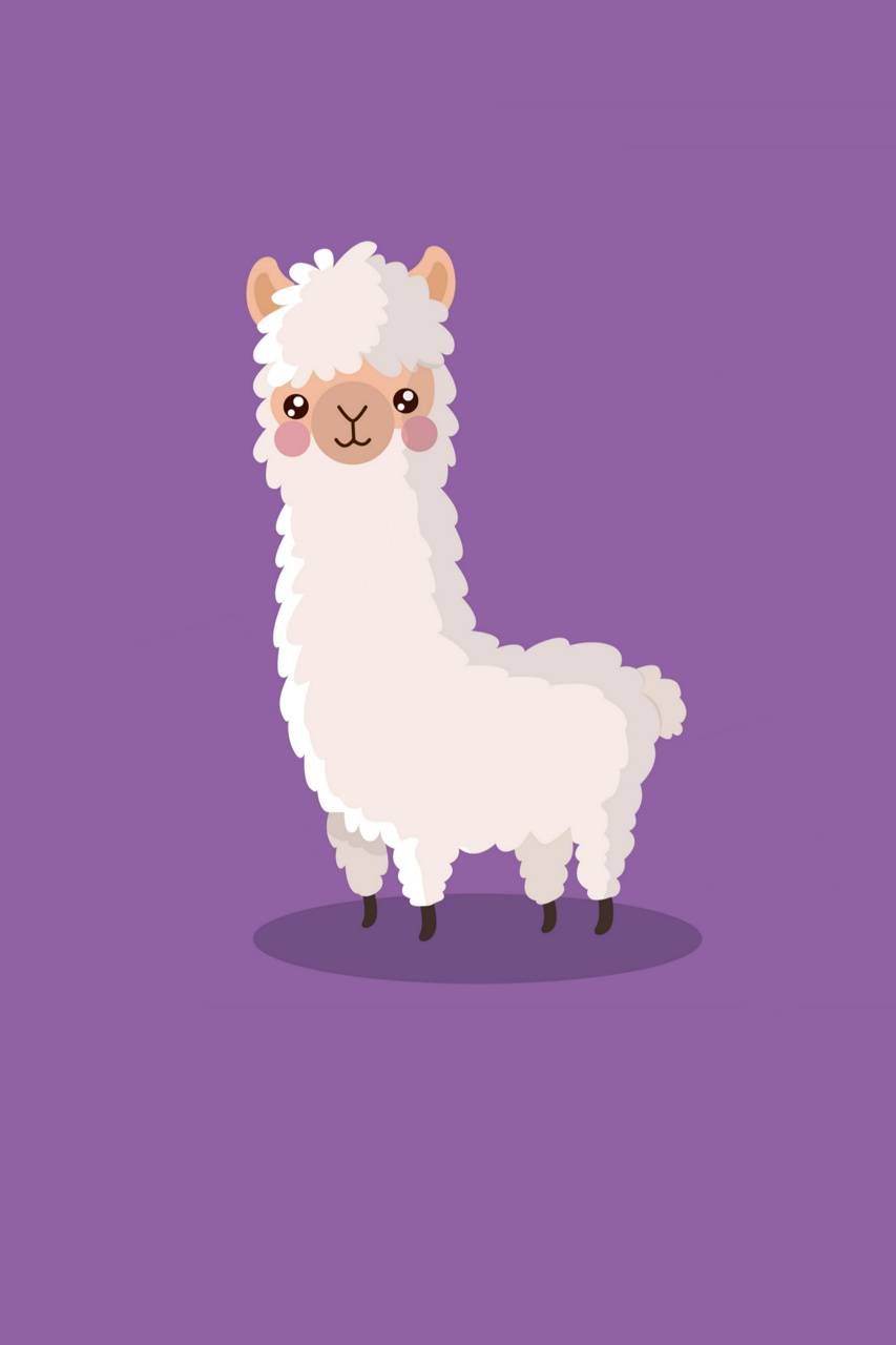 Pink Llama Wallpapers Wallpaper Cave