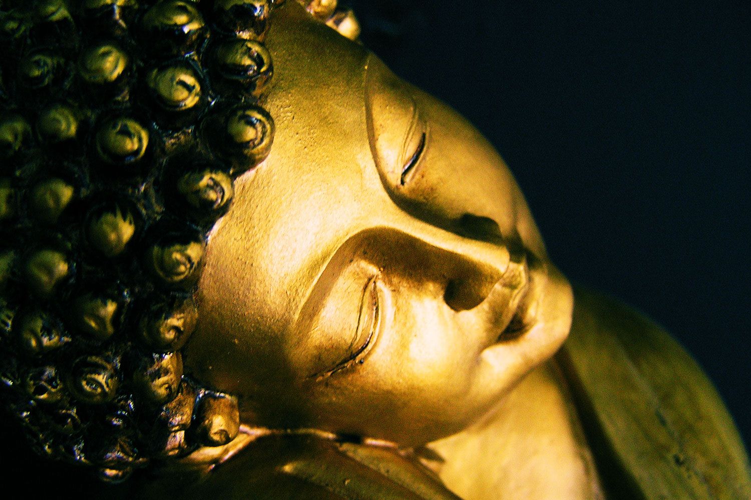 Peace Buddha Wallpapers Wallpaper Cave