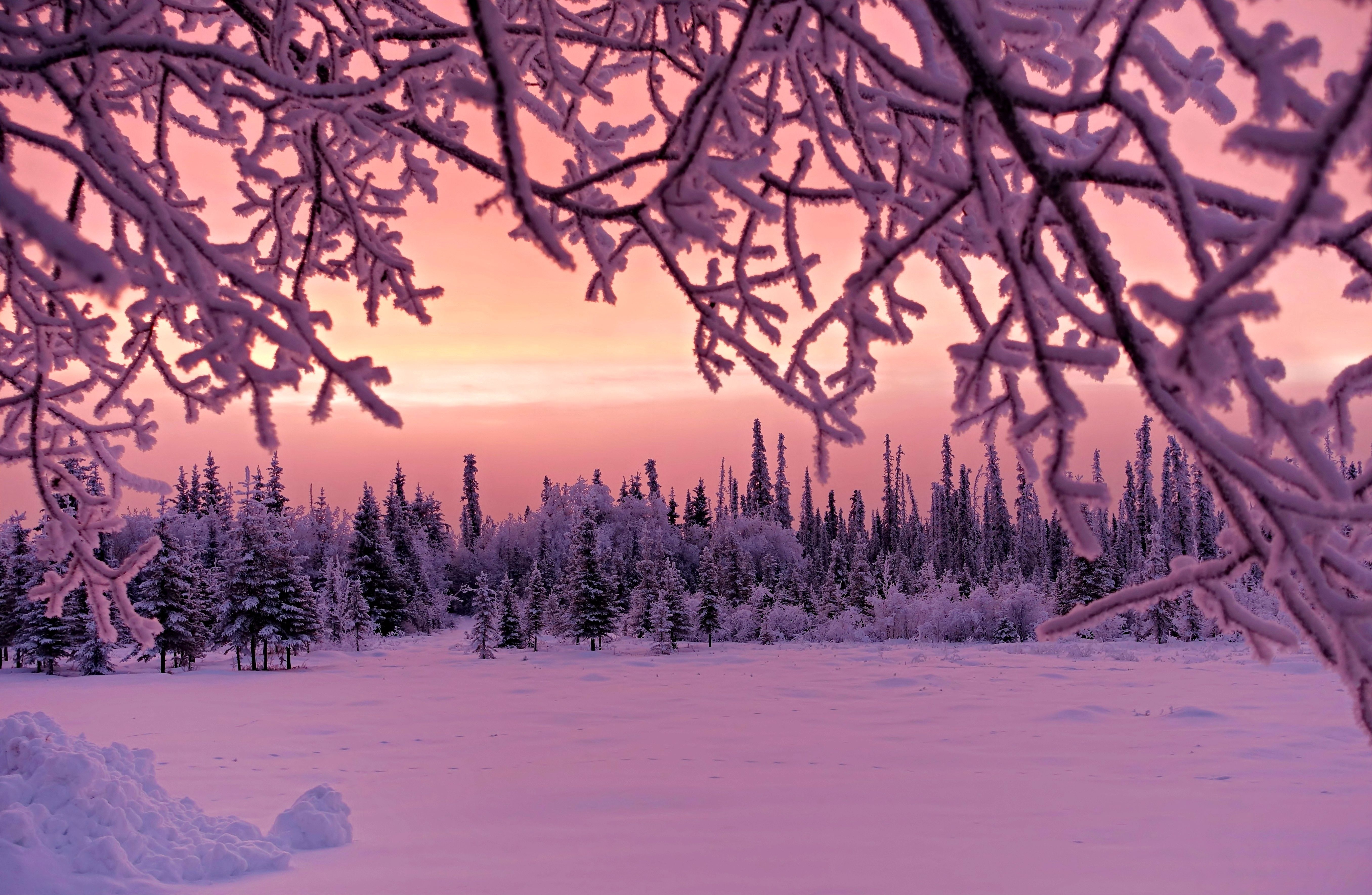 Pink Winter Sky Wallpapers Wallpaper Cave