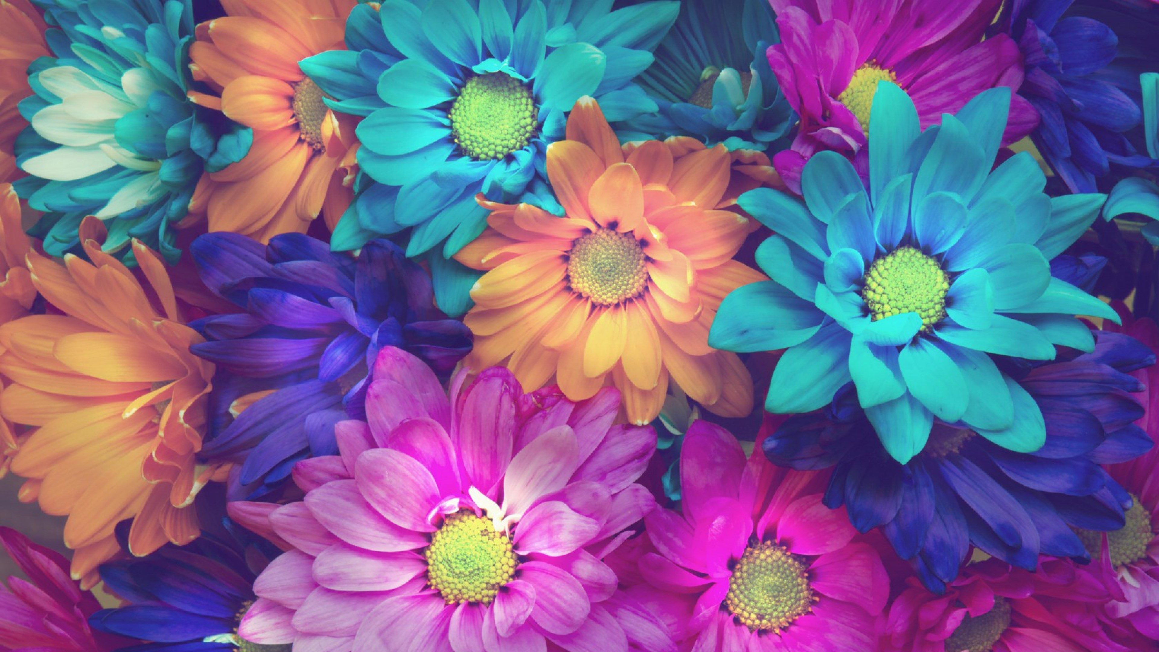 4K Flowers Wallpapers Wallpaper Cave