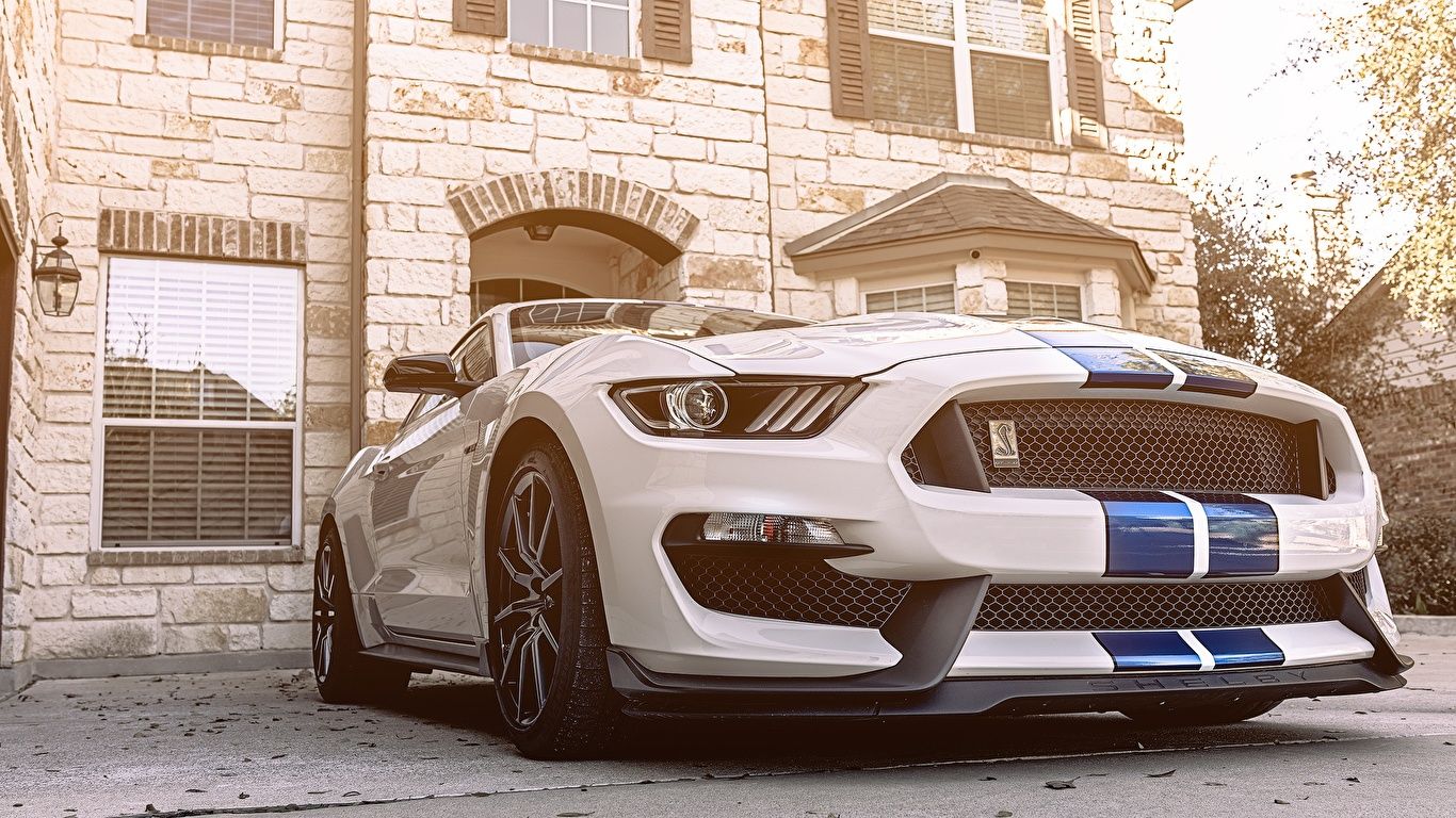 White Mustang Wallpapers Wallpaper Cave
