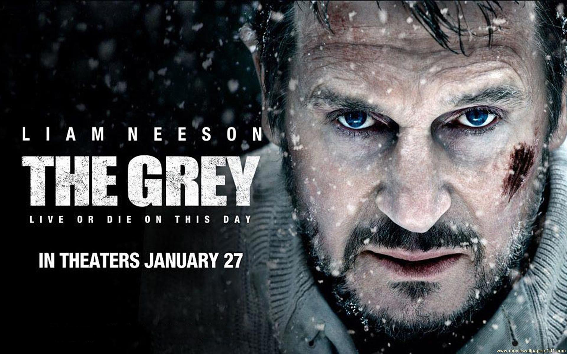 The Grey Wallpapers Wallpaper Cave