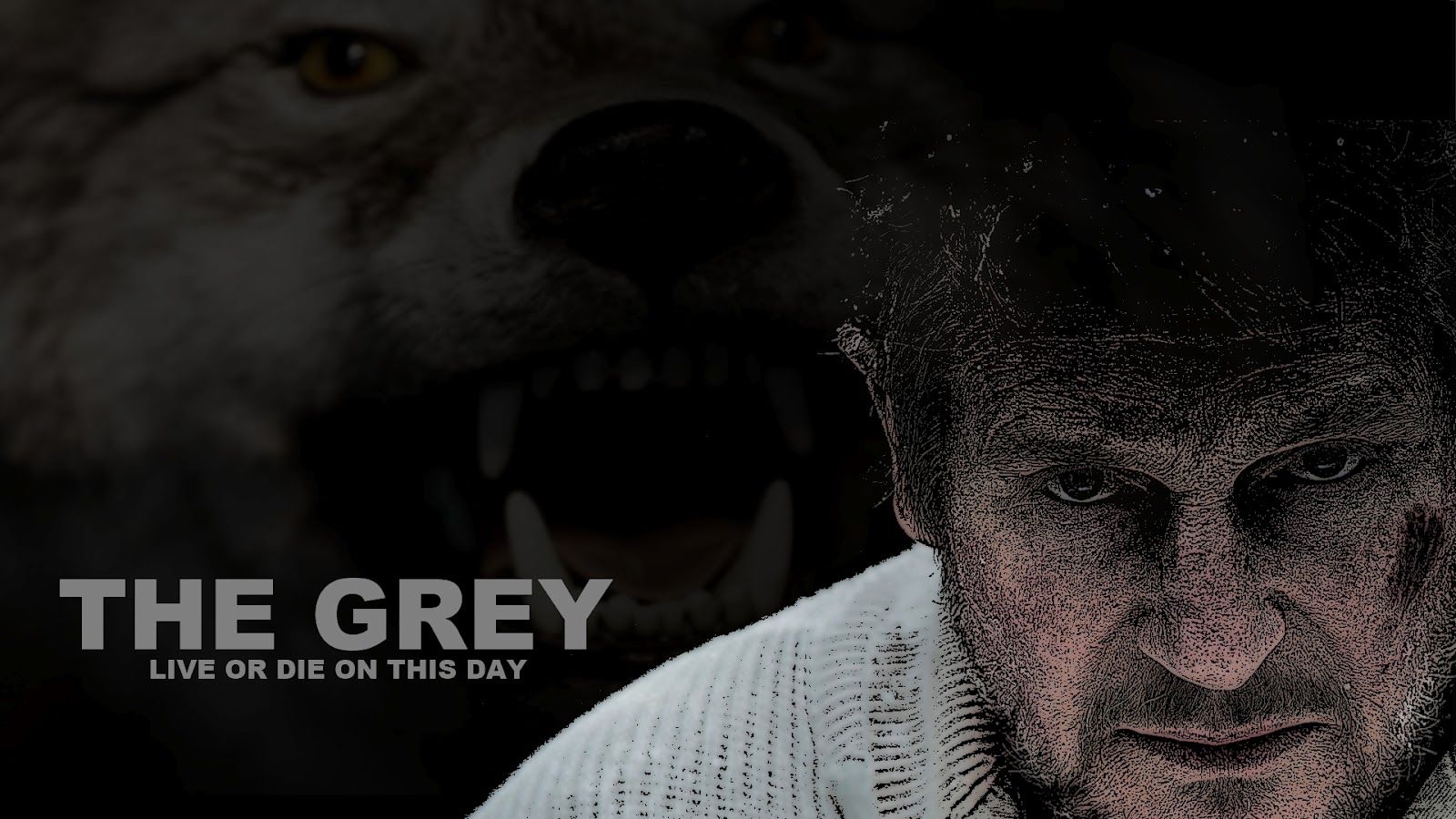 The Grey Wallpapers Wallpaper Cave