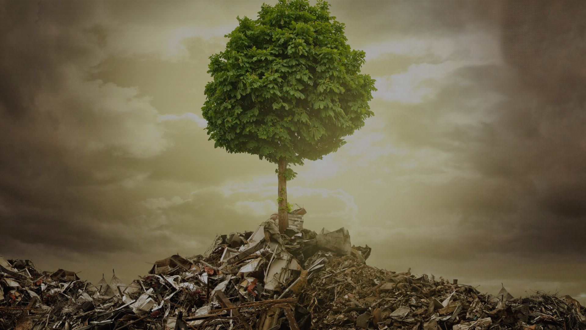 Background Image For Waste Management