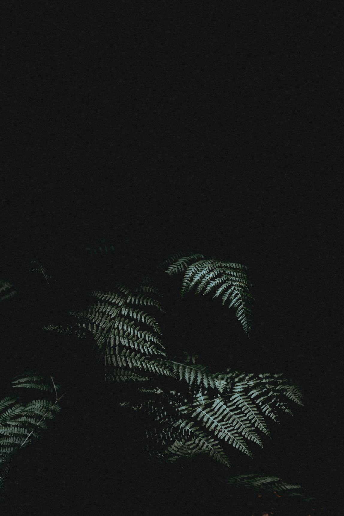 Dark Vibe Wallpapers Wallpaper Cave