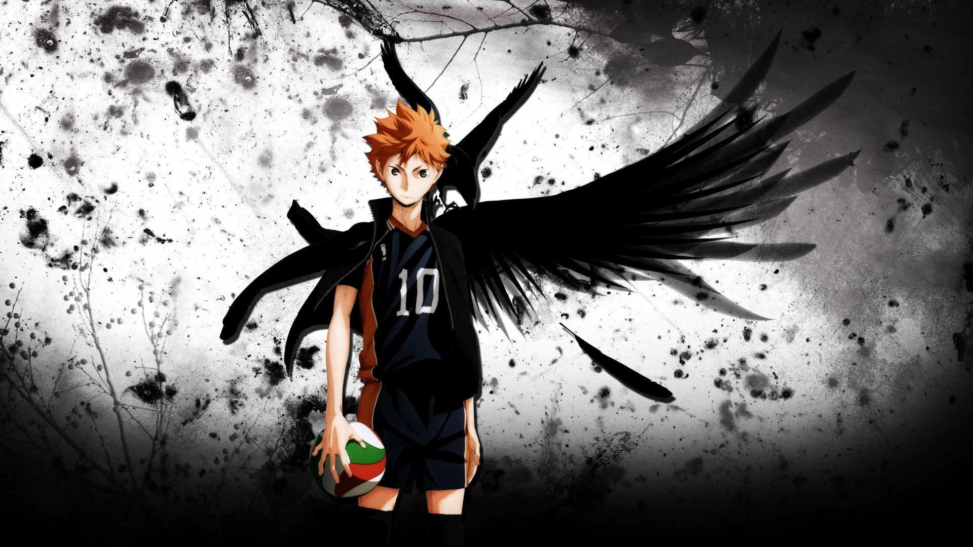 Haikyuu HD Wallpapers Wallpaper Cave