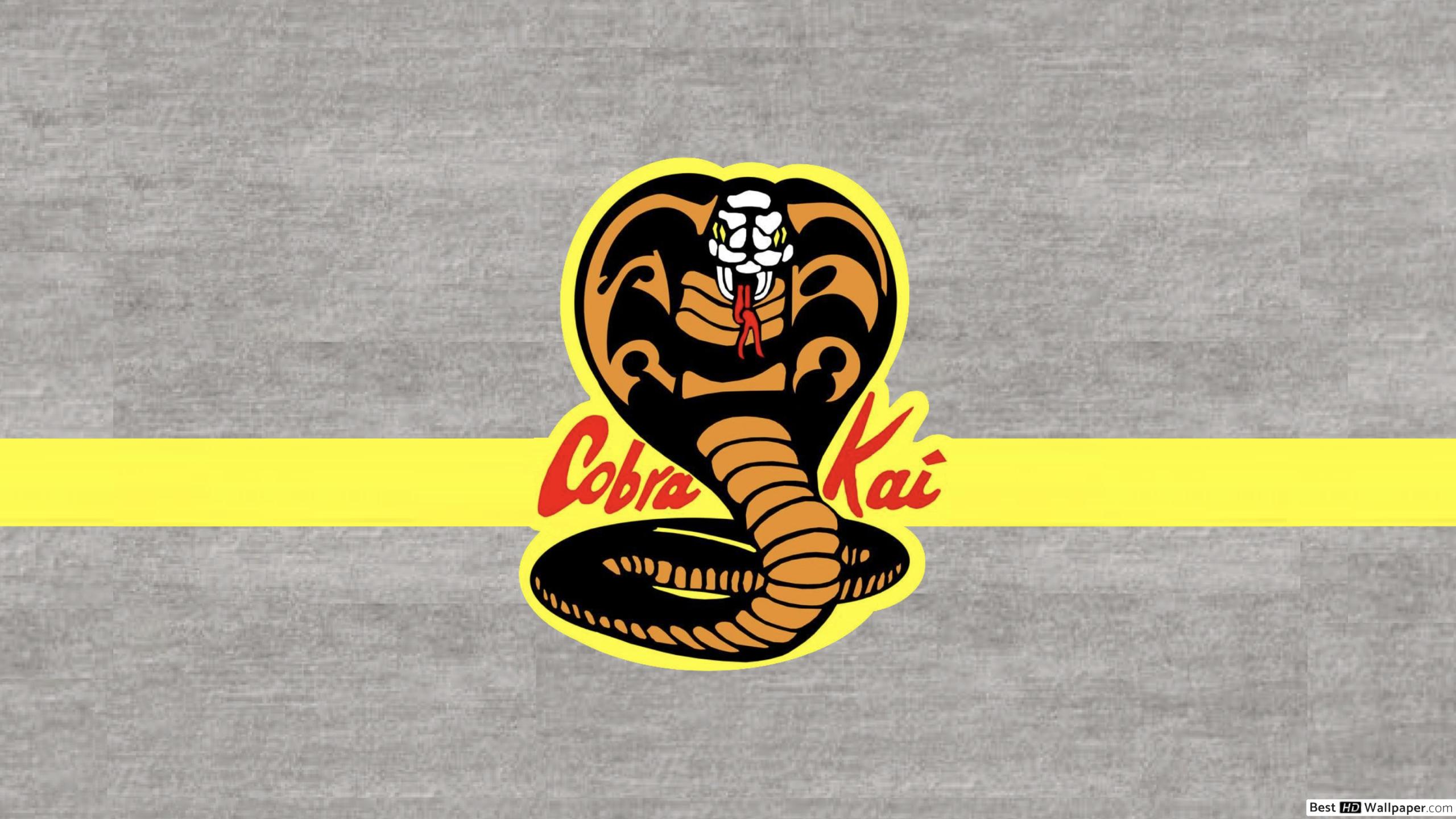 Cobra Kai Logo Wallpapers Wallpaper Cave