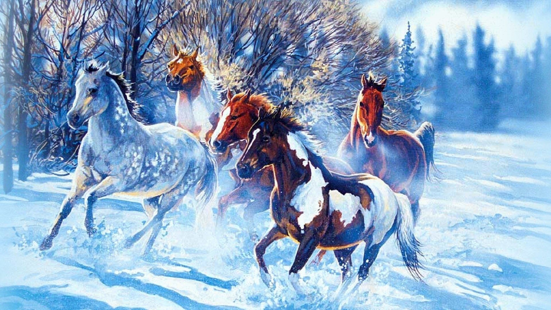 Beautiful Winter Horse Wallpapers Wallpaper Cave