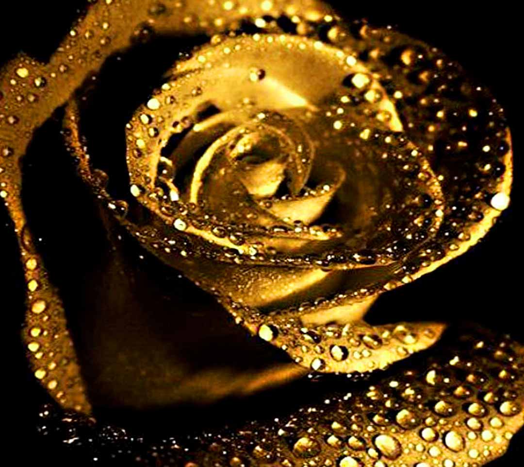 Rose Gold Flowers Wallpapers Wallpaper Cave