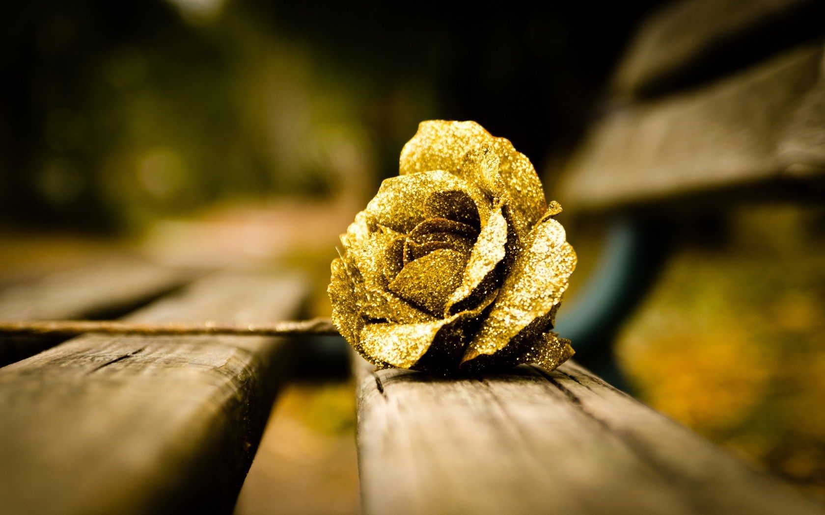 Rose Gold Flowers Wallpapers Wallpaper Cave