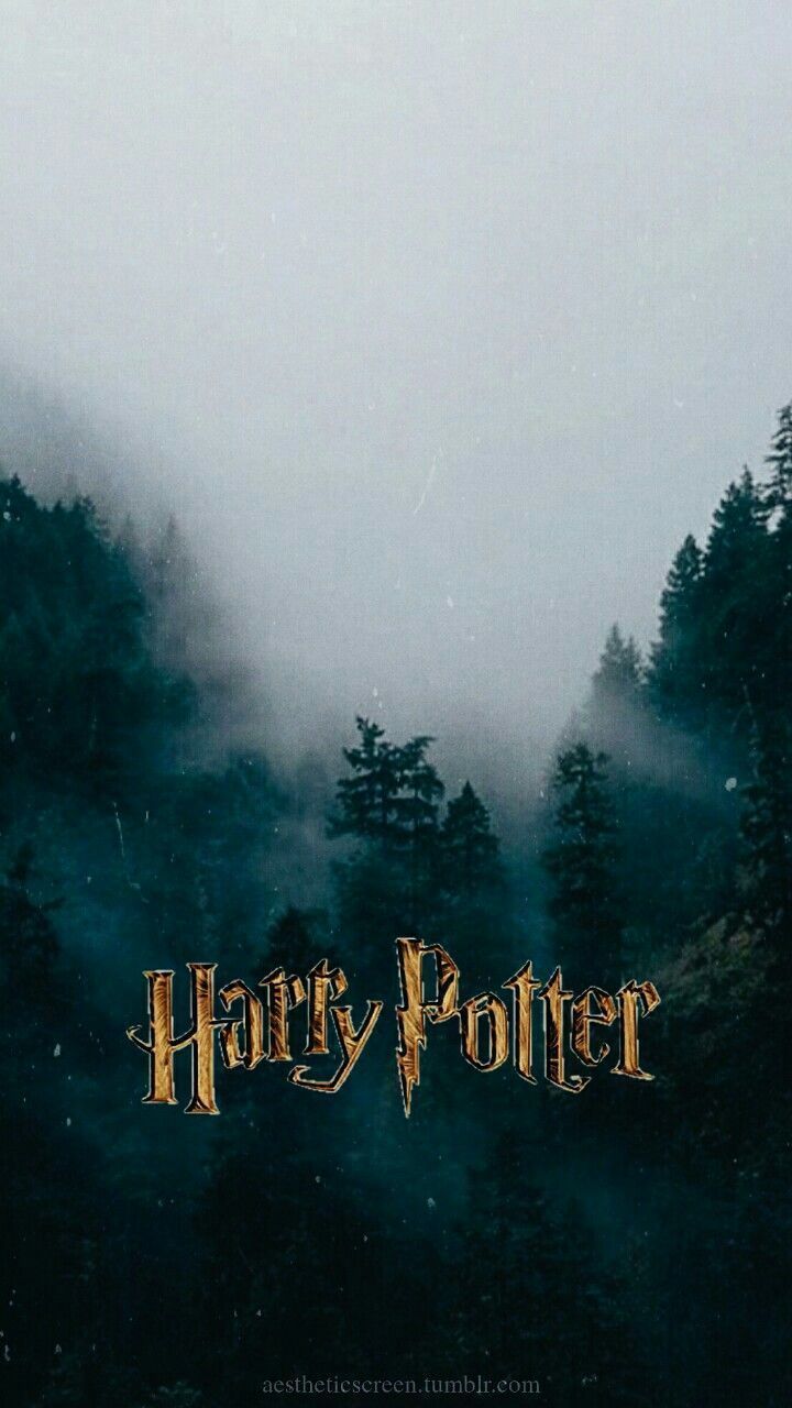 Harry Potter iPhone 11 Wallpapers Wallpaper Cave