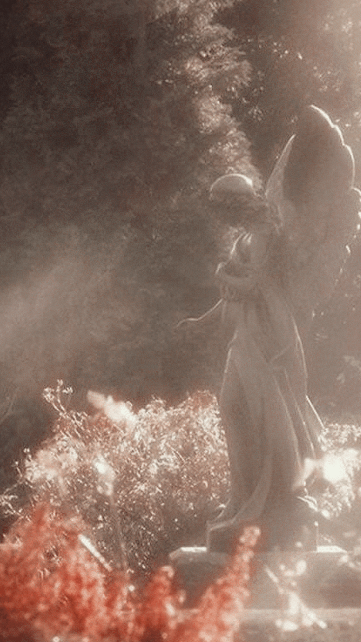 Aesthetic Baby Angel Wallpapers Wallpaper Cave