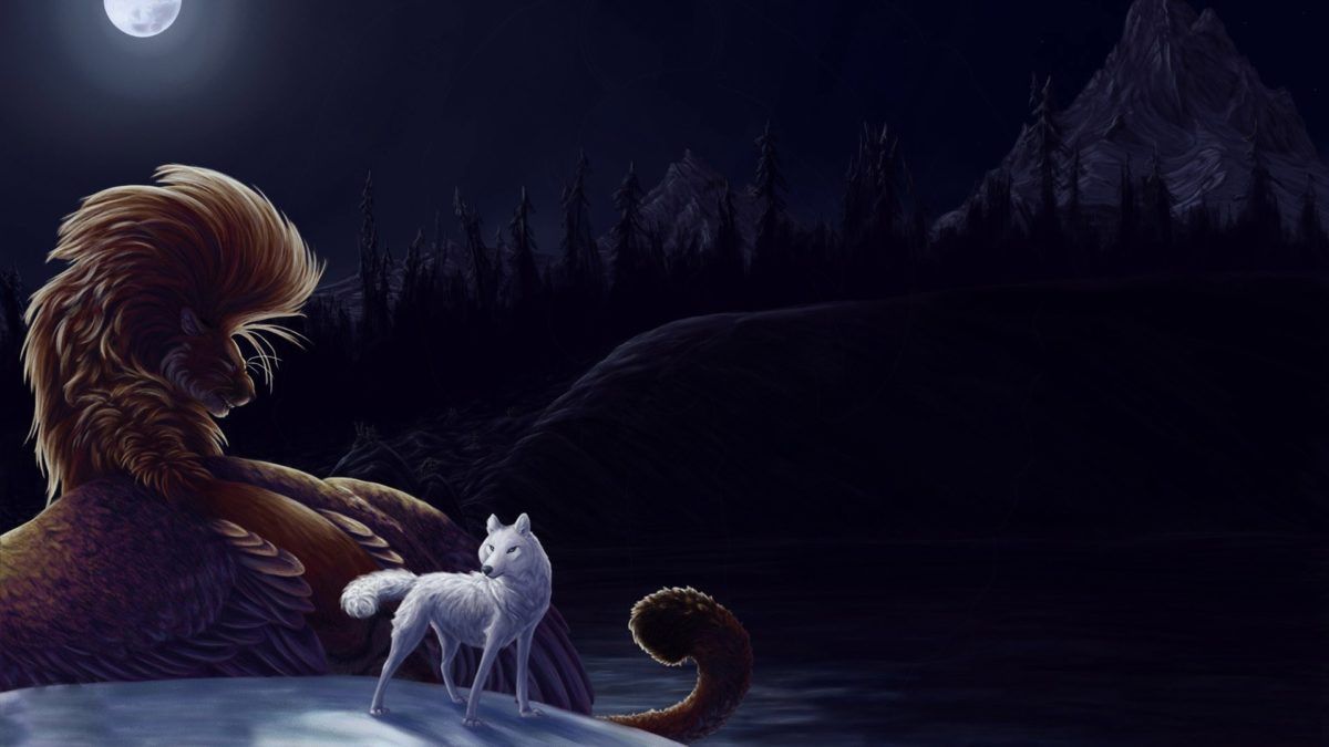 Wolf And Lion Wallpapers Wallpaper Cave