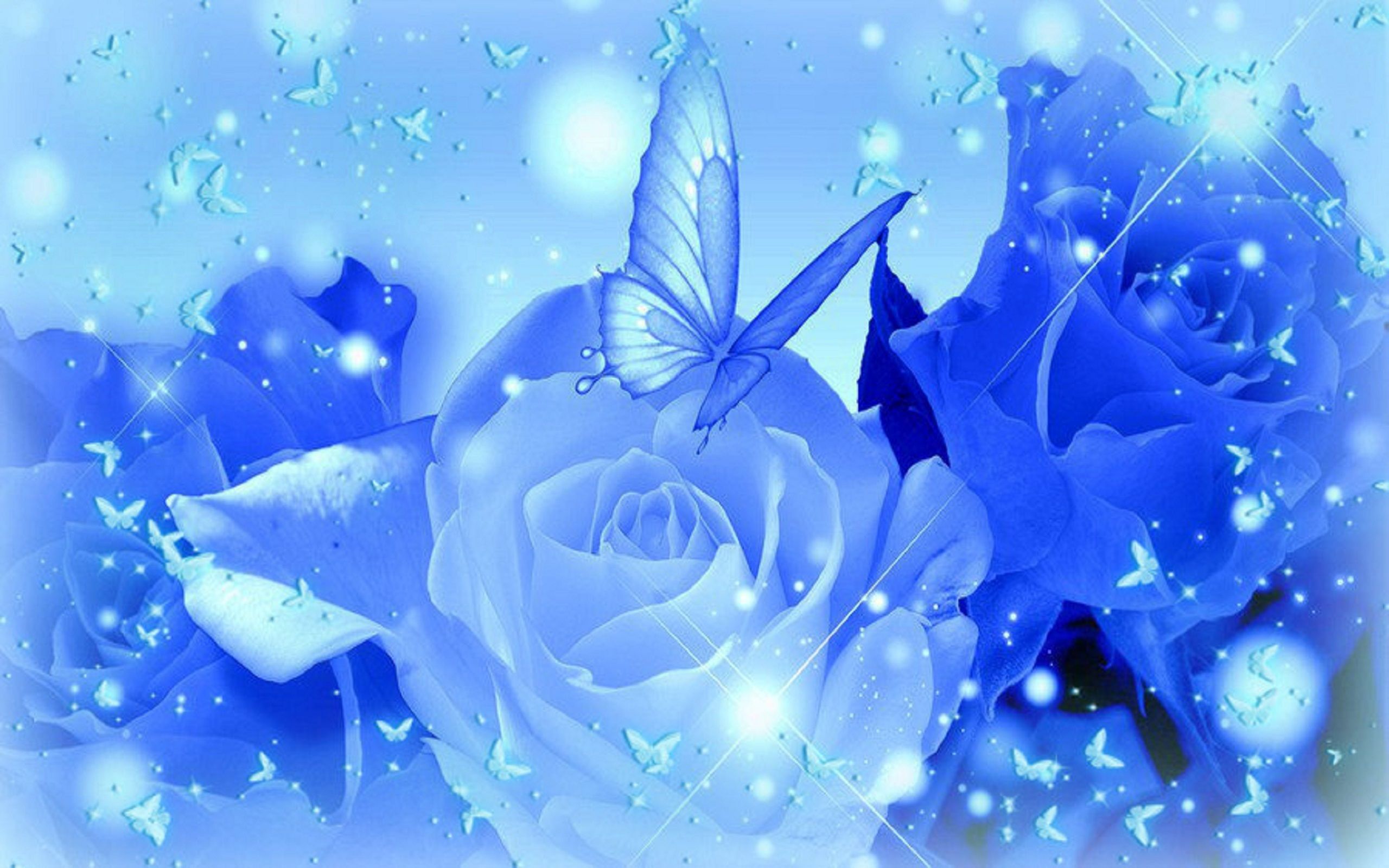 Light Blue Rose Wallpaper