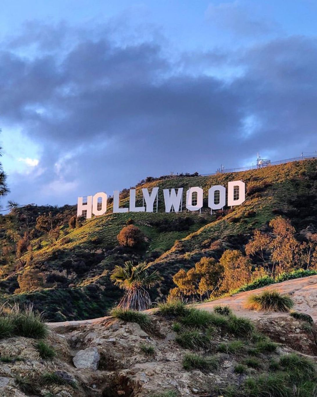 Hollywood Sign Android Wallpapers Wallpaper Cave