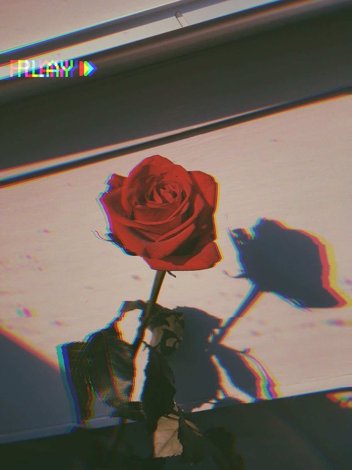 Sad Roses Wallpapers Wallpaper Cave