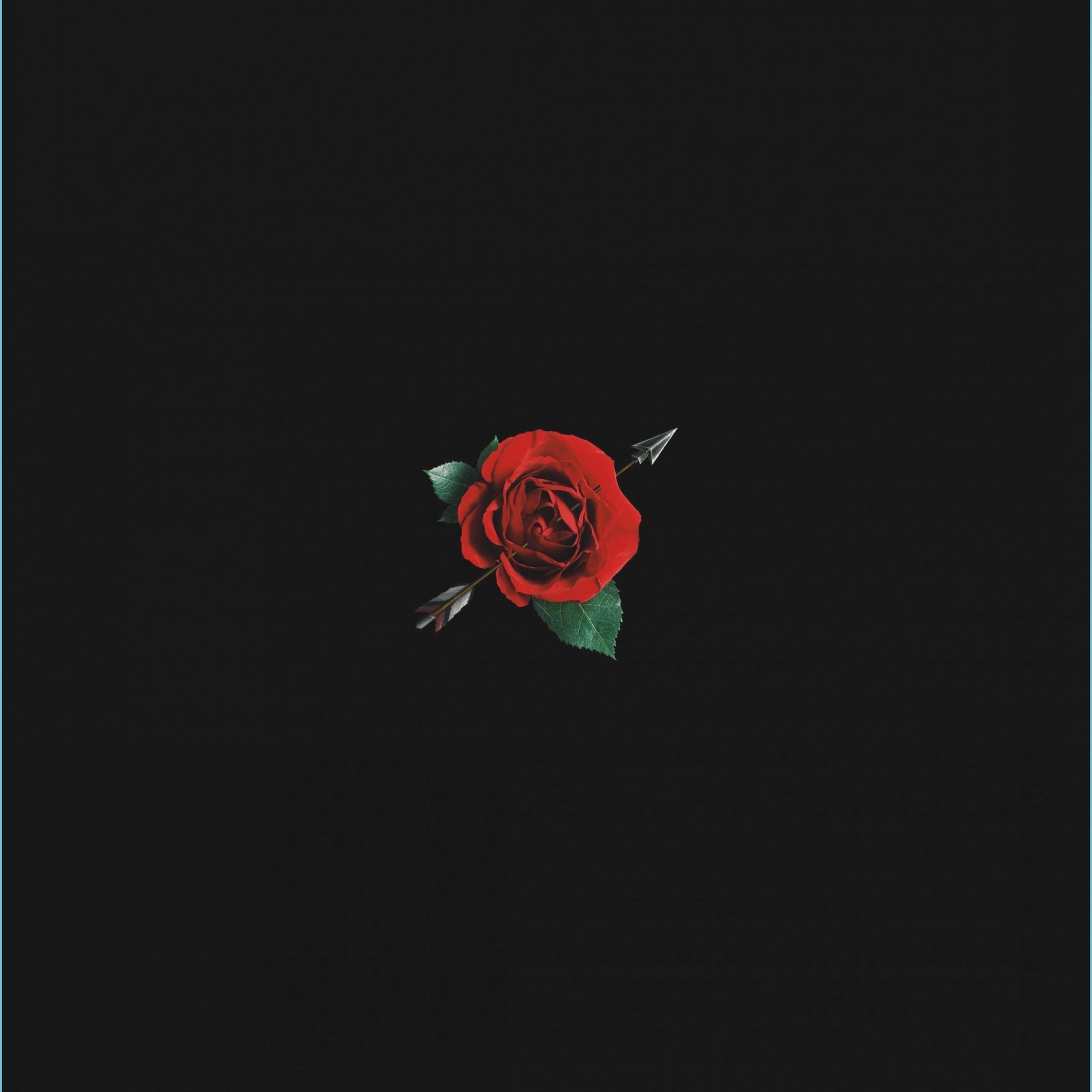 Sad Roses Wallpapers Wallpaper Cave