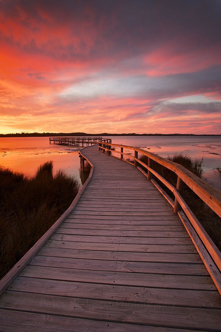 Sunset Portrait Wallpapers Wallpaper Cave