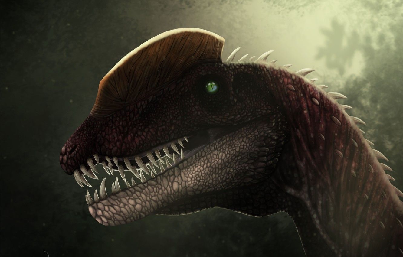 Dilophosaurus Wallpapers Wallpaper Cave