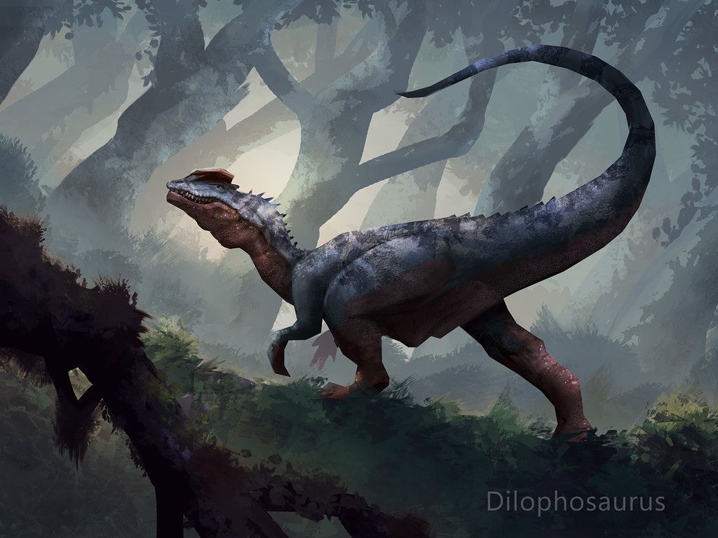 Dilophosaurus Wallpapers Wallpaper Cave