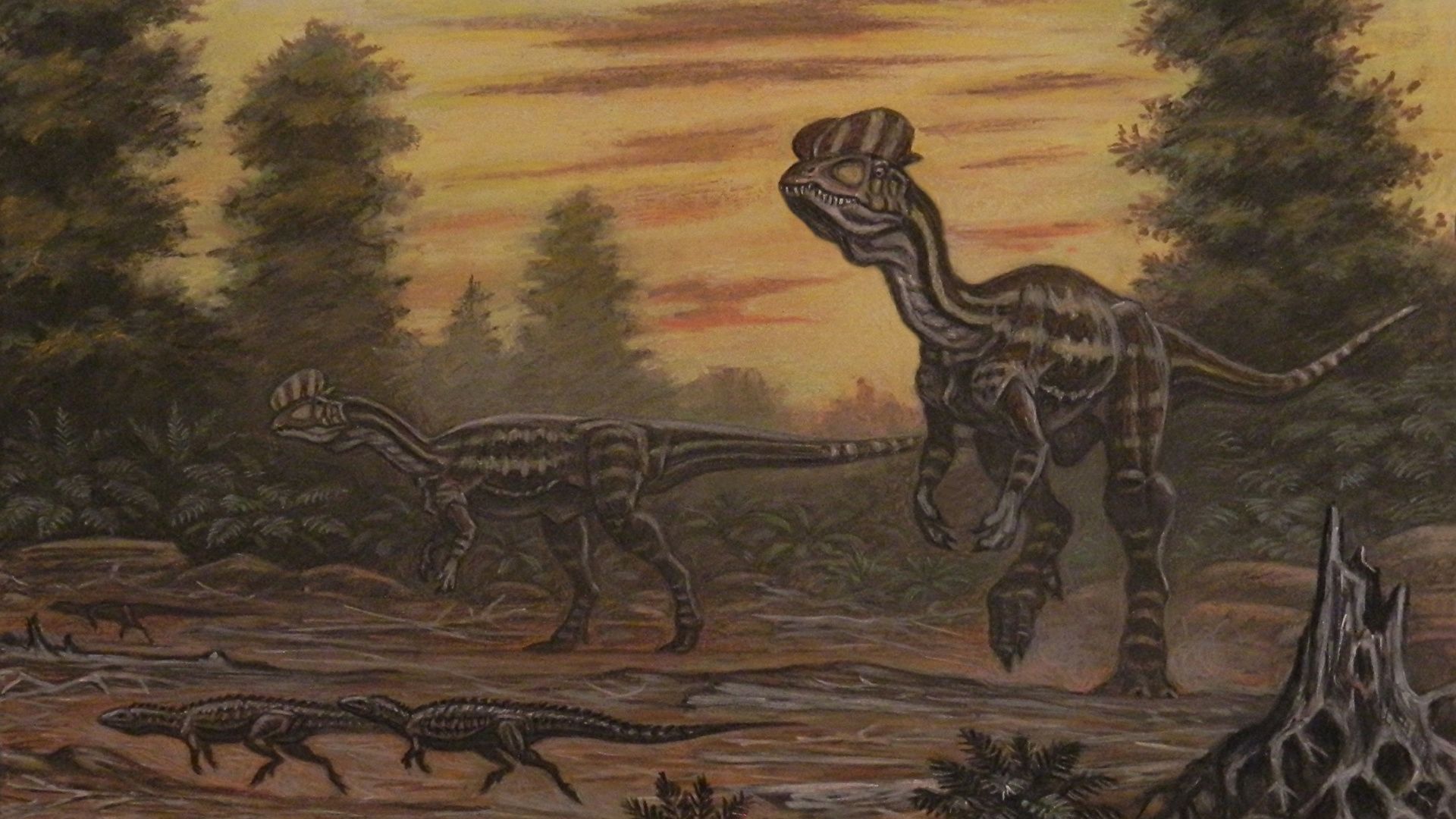 Dilophosaurus Wallpapers Wallpaper Cave