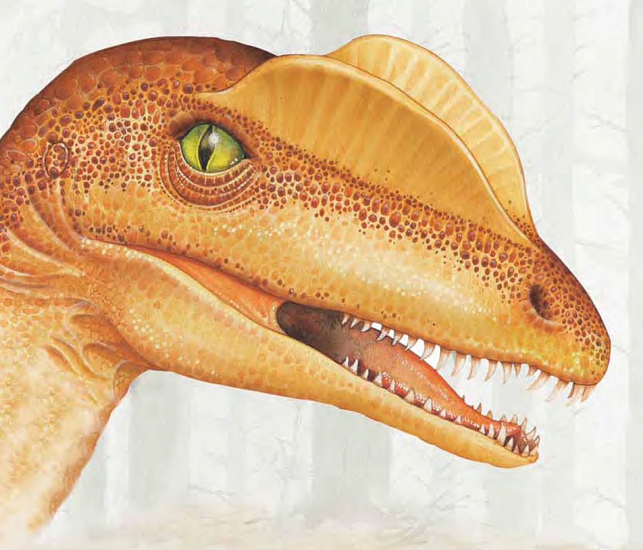 Dilophosaurus Wallpapers Wallpaper Cave