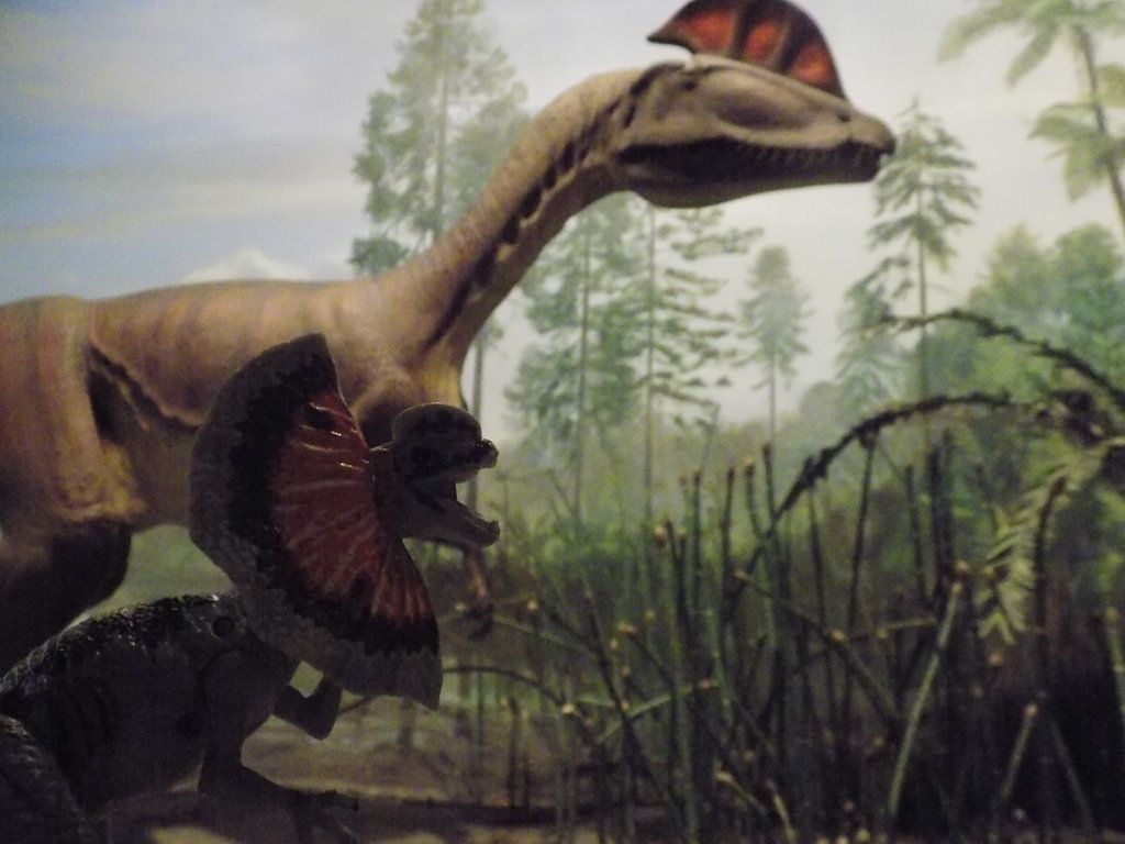 Dilophosaurus Wallpapers Wallpaper Cave