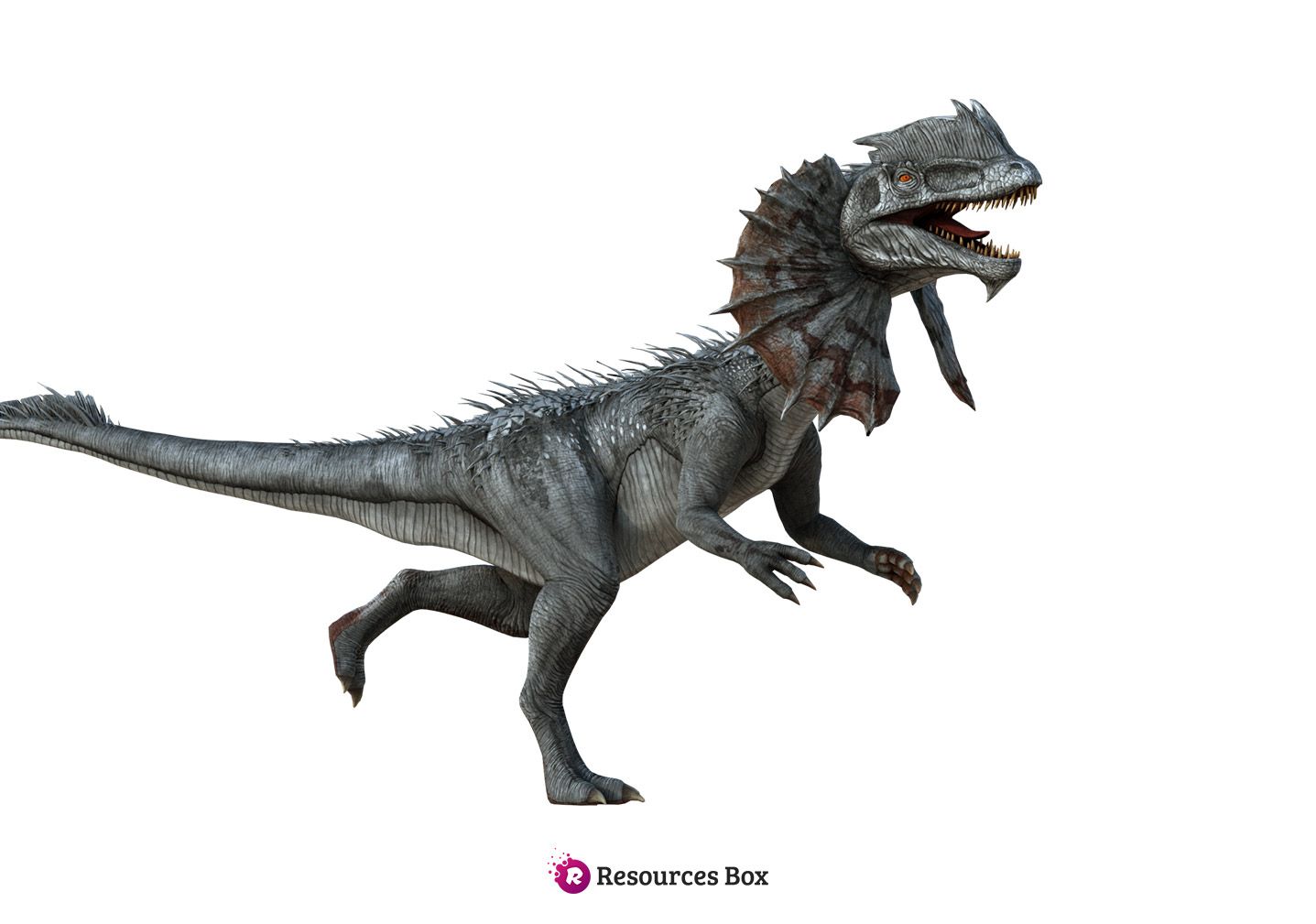 Dilophosaurus Wallpapers Wallpaper Cave