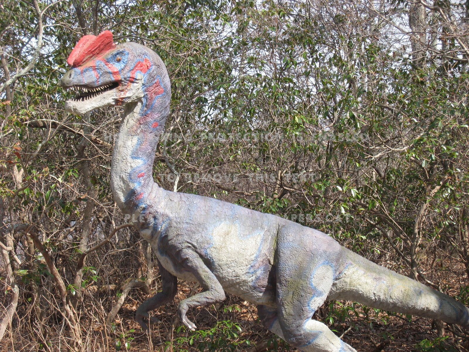 Dilophosaurus Wallpapers Wallpaper Cave