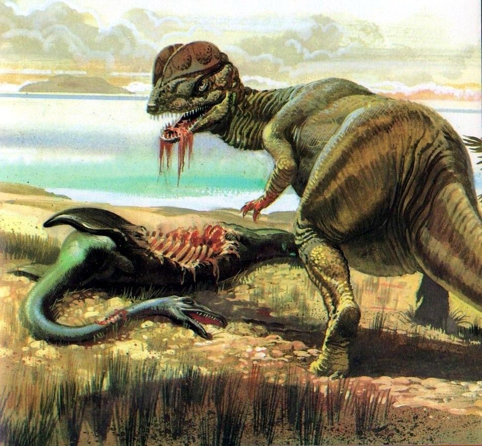 Dilophosaurus Wallpapers Wallpaper Cave