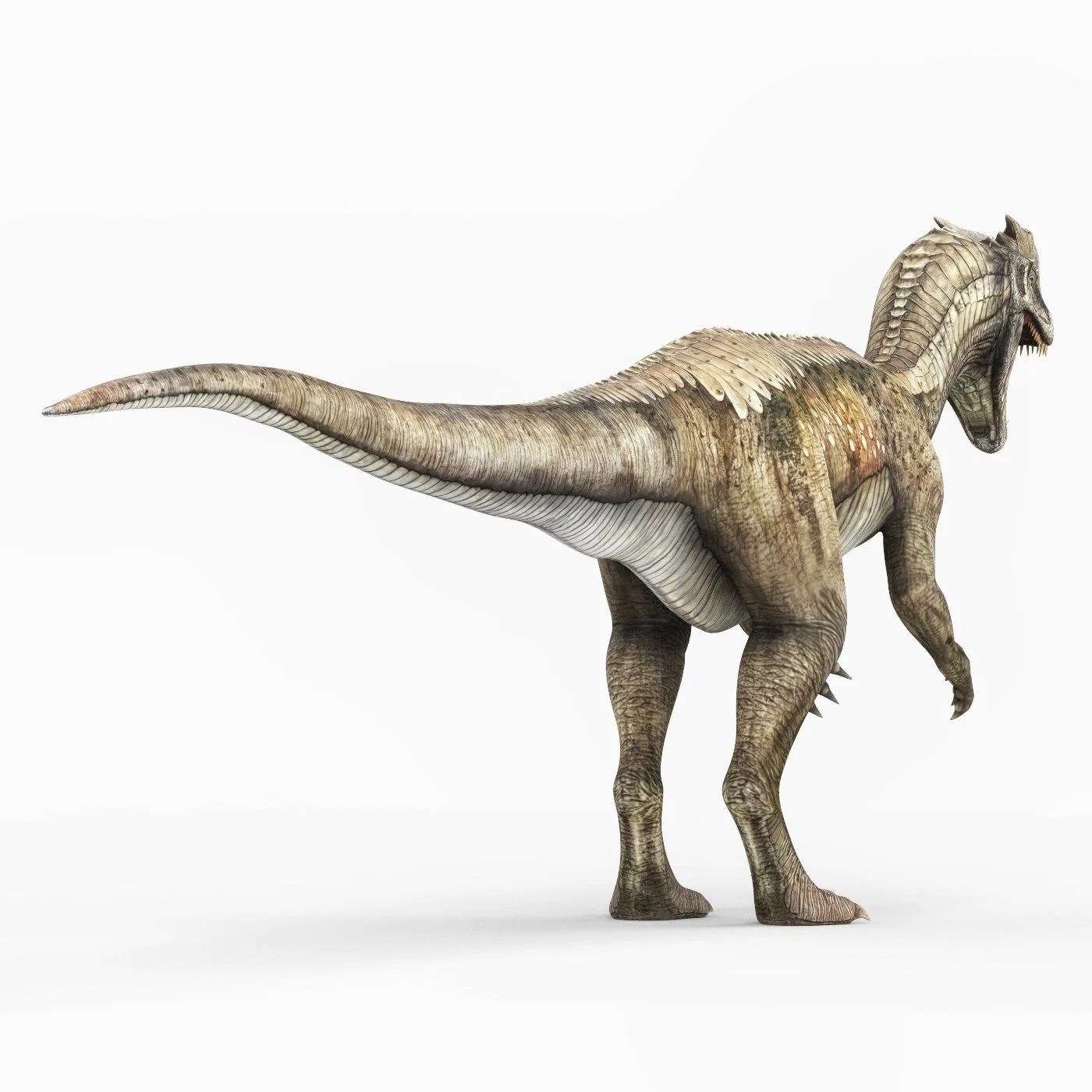 Dilophosaurus Wallpapers Wallpaper Cave