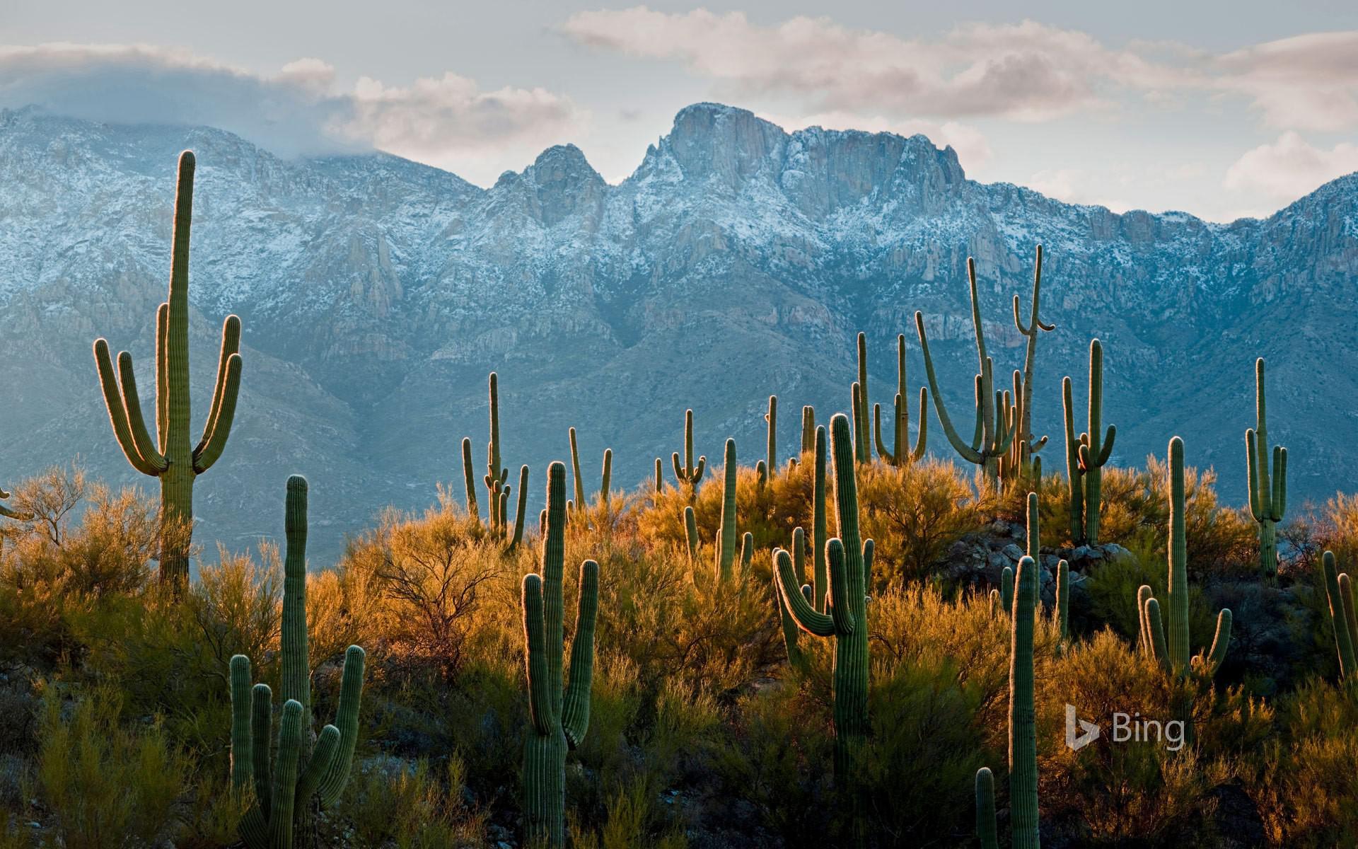 Tucson Arizona Wallpapers Wallpaper Cave