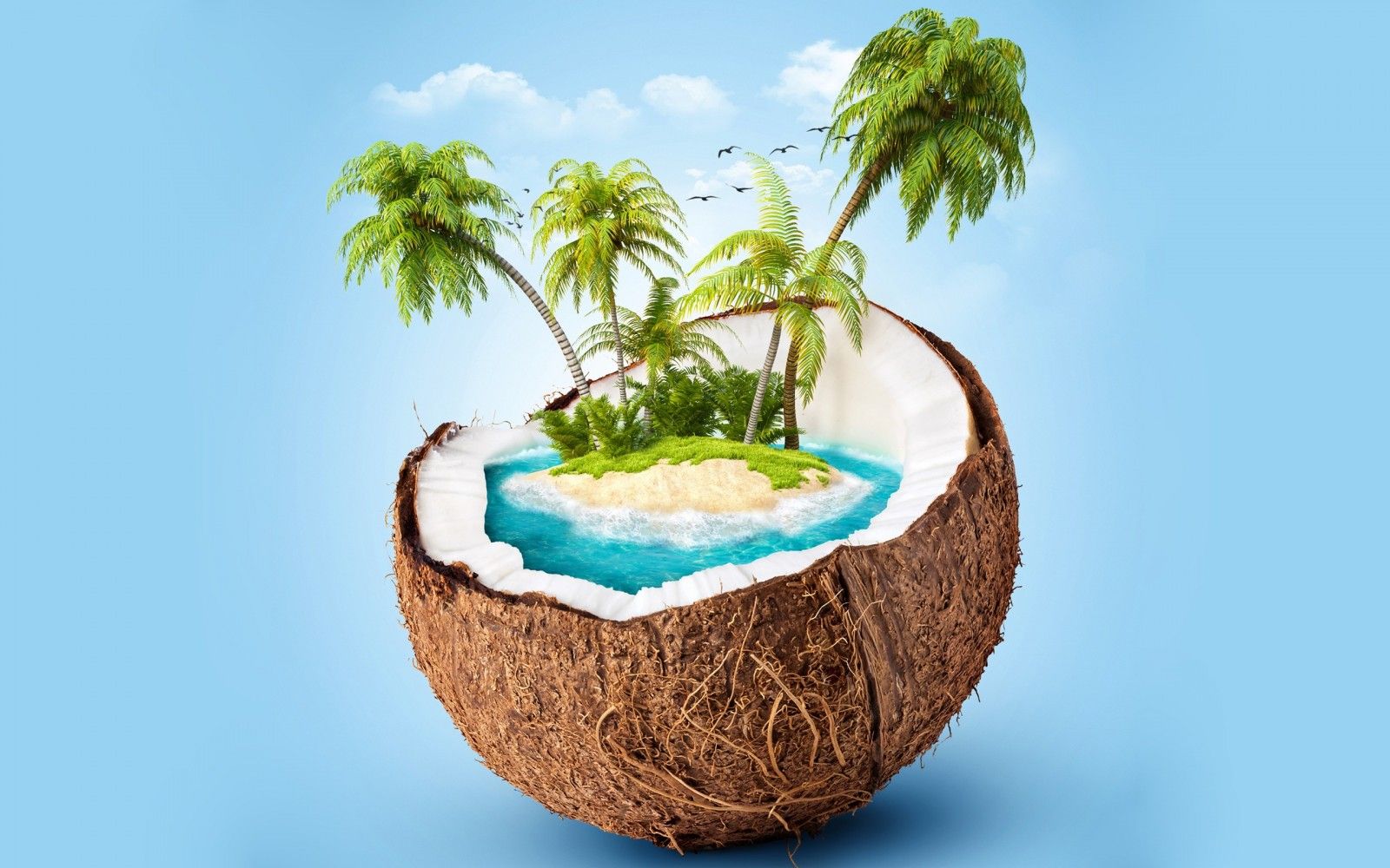 Coconuts Wallpapers Wallpaper Cave