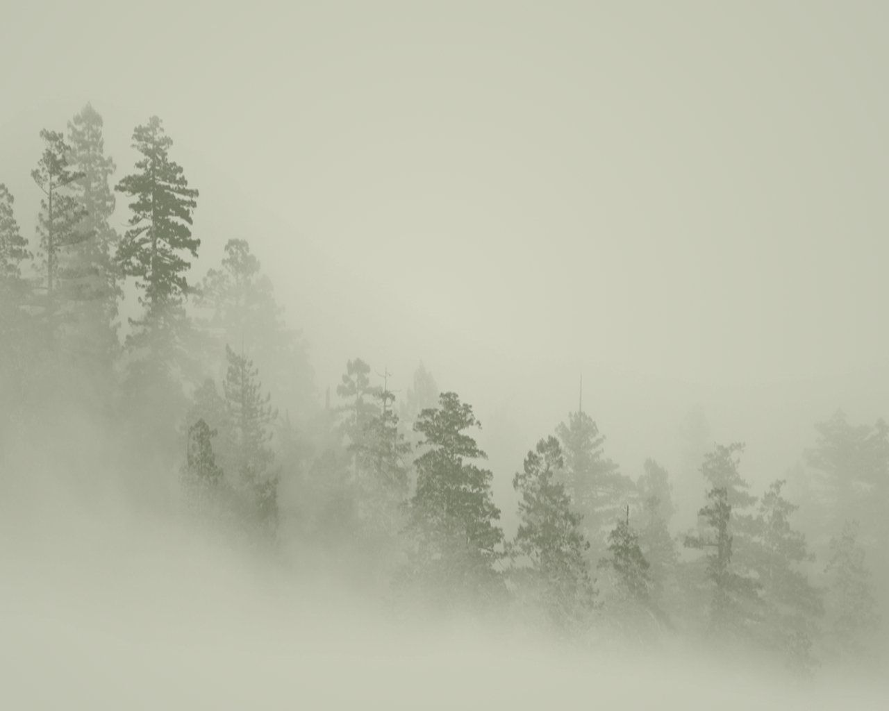 Neutral Desktop Wallpapers Wallpaper Cave