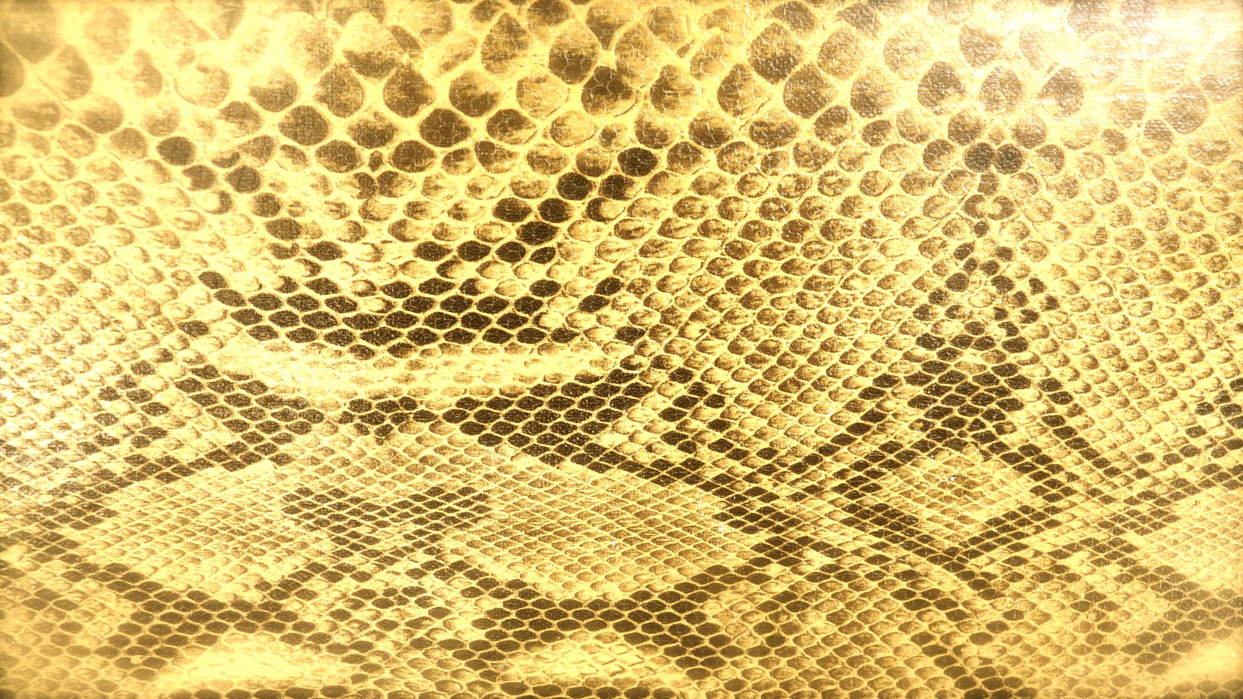 Gold Snakes Wallpapers Wallpaper Cave