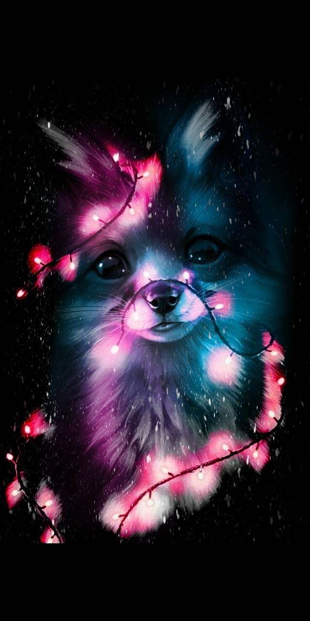 Neon Pets Wallpapers Wallpaper Cave