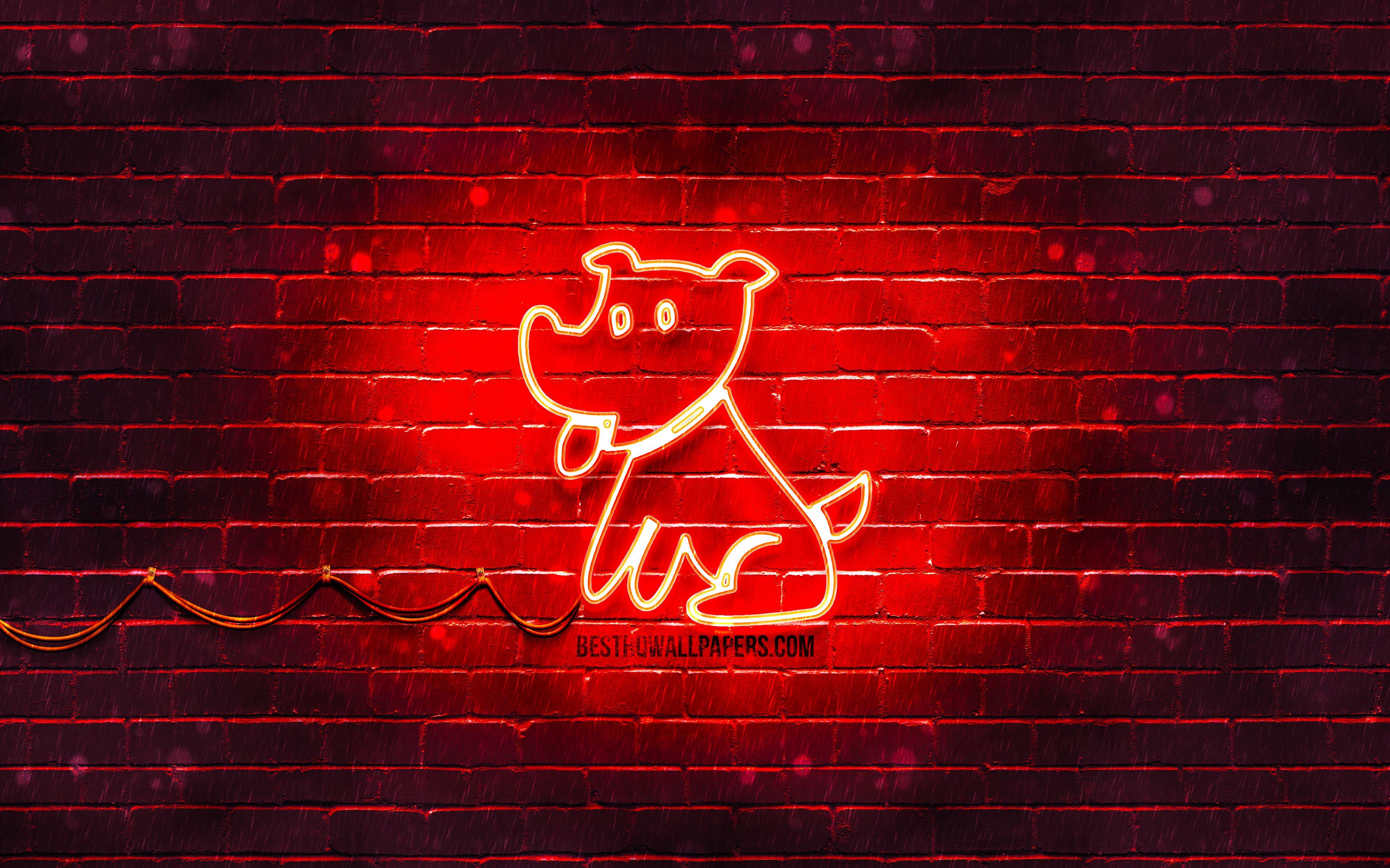 Neon Pets Wallpapers Wallpaper Cave