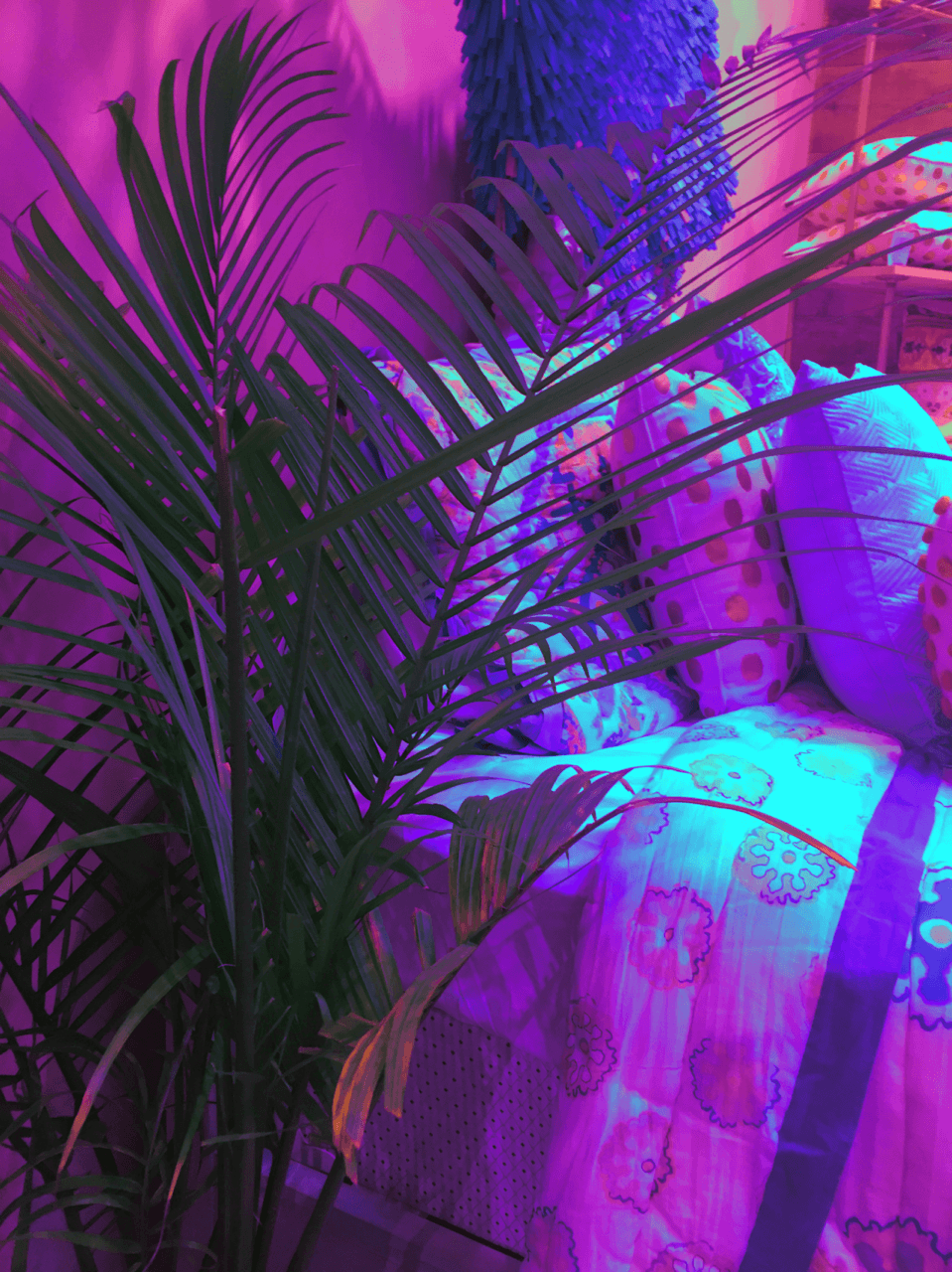 Purple Vibes Wallpapers Wallpaper Cave