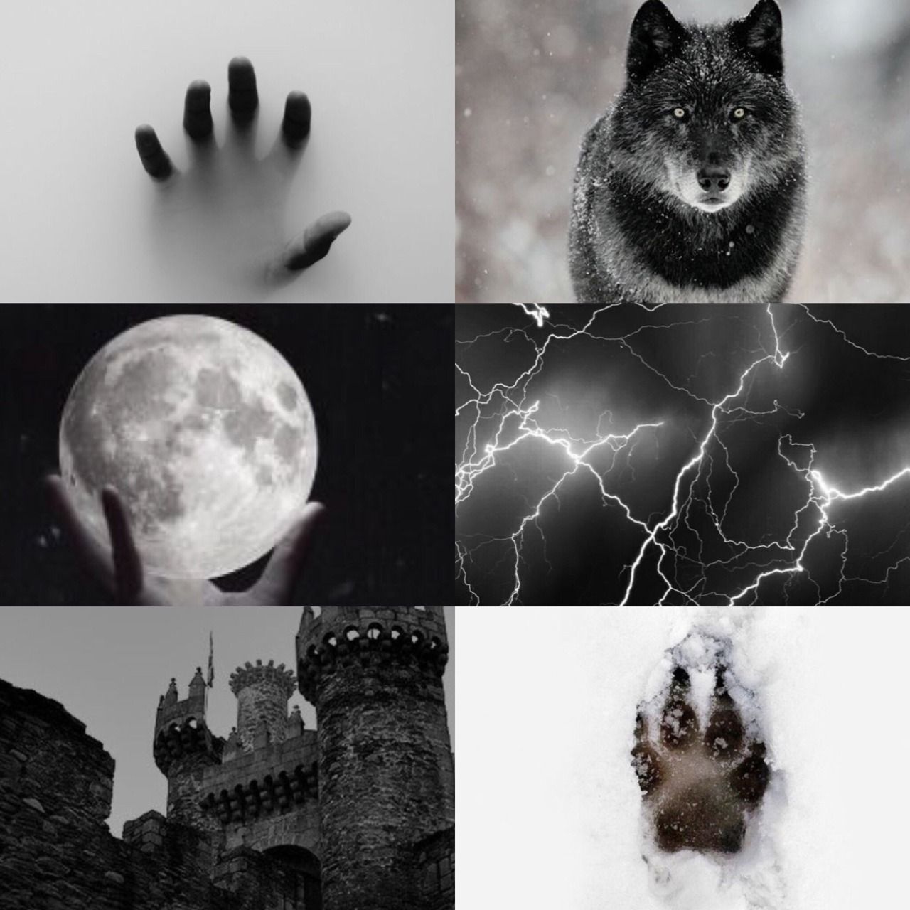 Aesthetic Wolf Wallpapers Wallpaper Cave